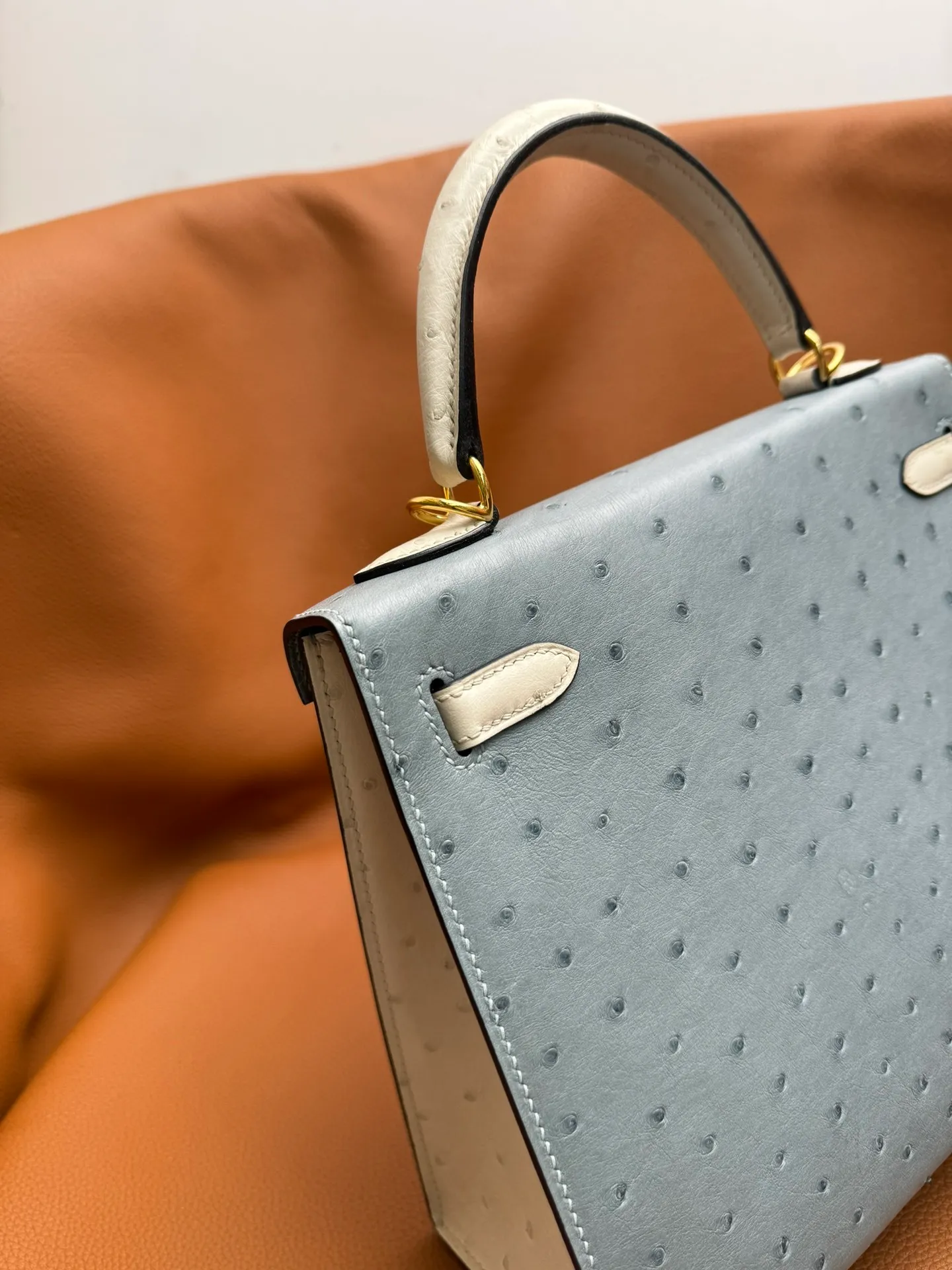All categories Hermès women's bags (Hermès) Hermès 2525_CM_2