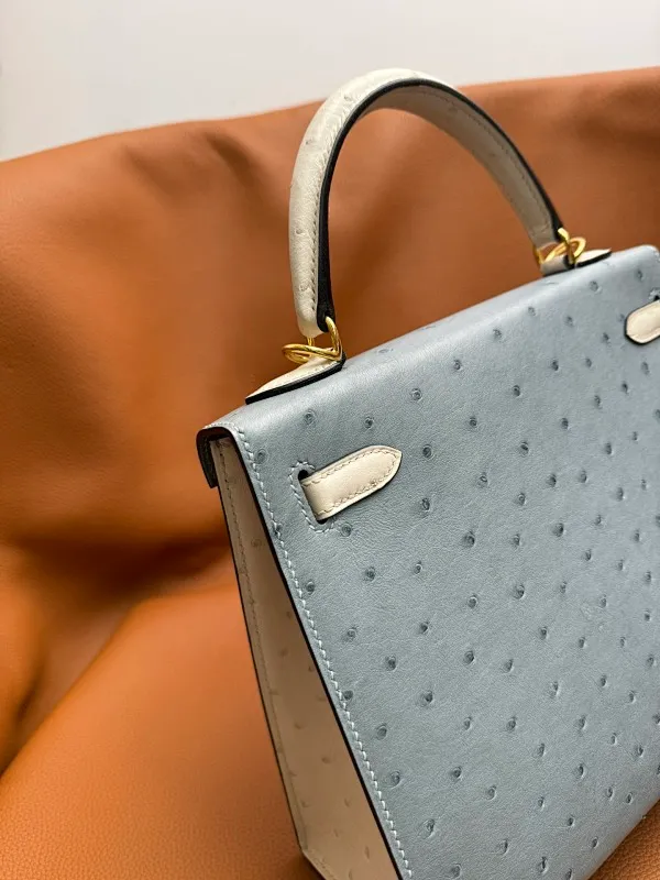 All categories Hermès women's bags (Hermès) Hermès 2525_CM_2