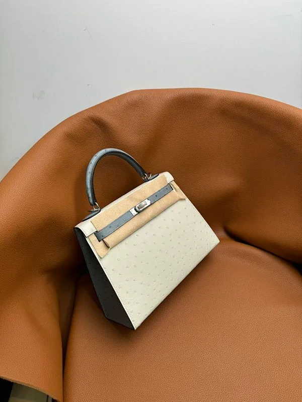 All categories Hermès women's bags (Hermès) Hermès 2525_CM_2