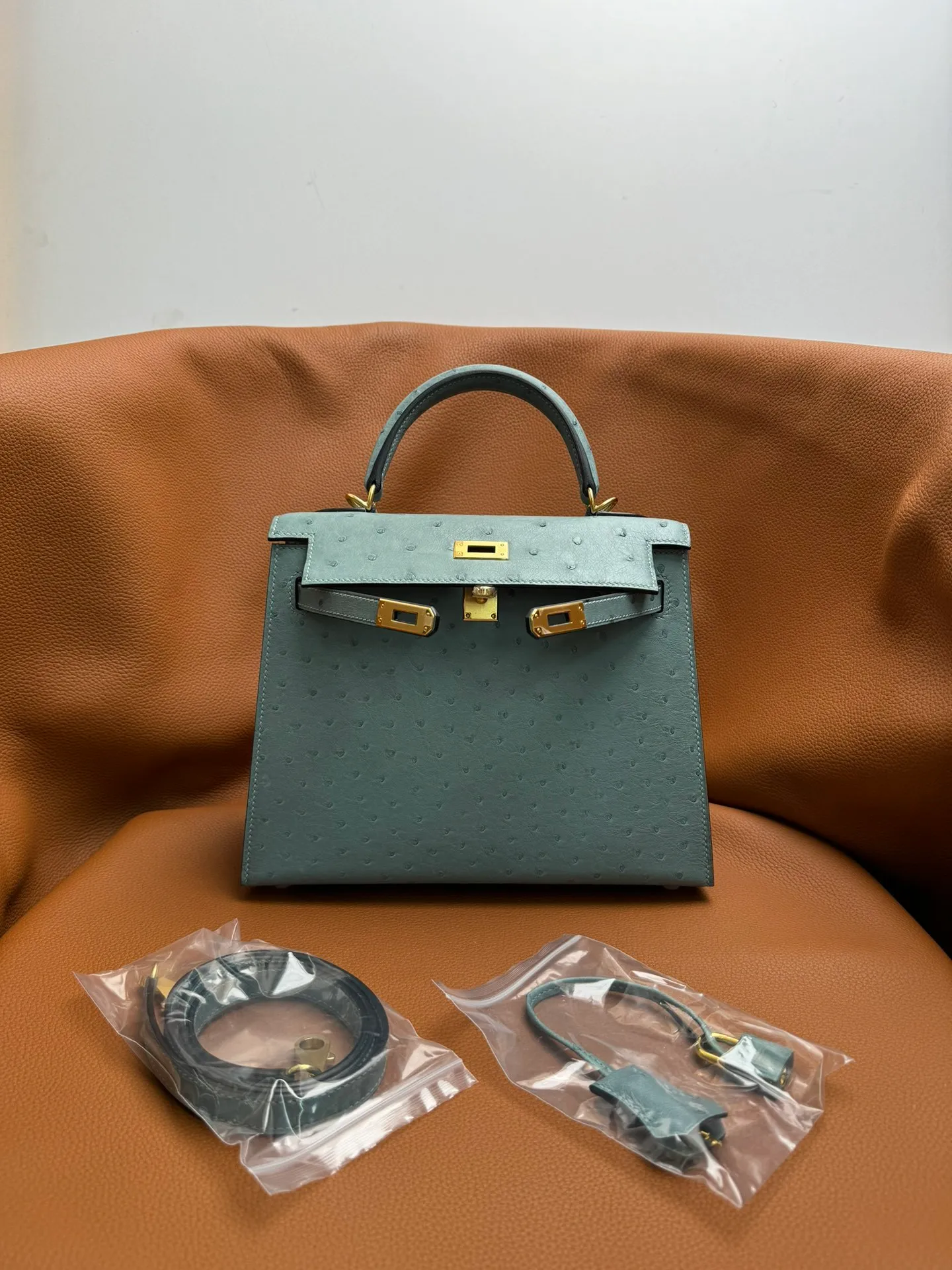 All categories Hermès women's bags (Hermès) Hermès 2525_CM_2