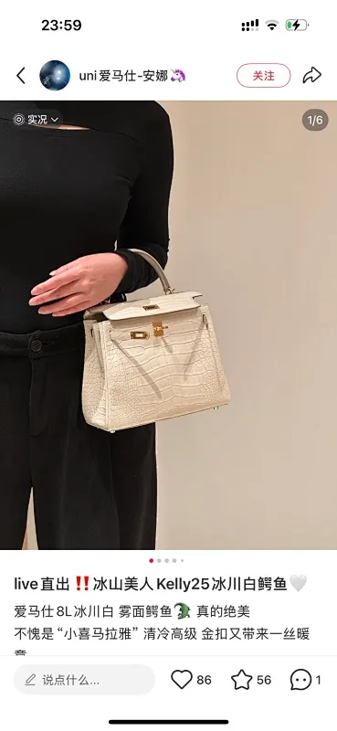 All categories Hermès women's bags (Hermès) Hermès 2529