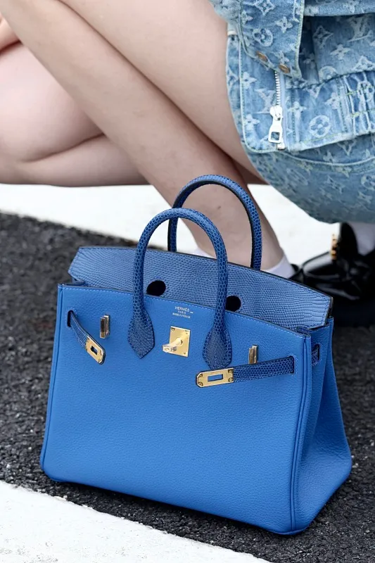 All Categories Hermès Women's Bags (Hermès) Hermès 25 Color Matching