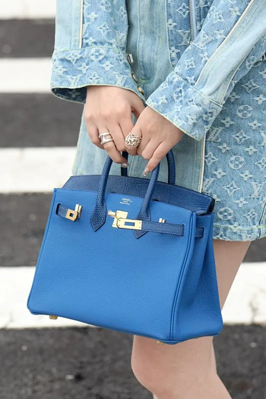 All Categories Hermès Women's Bags (Hermès) Hermès 25 Color Matching
