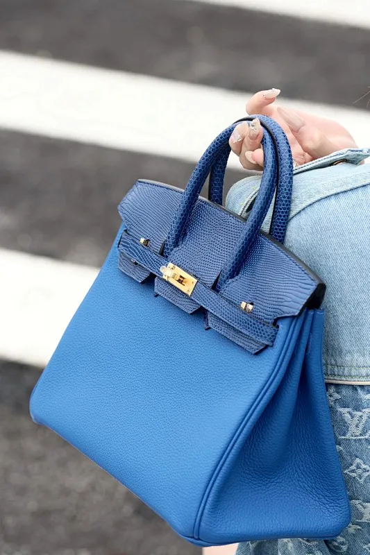 All Categories Hermès Women's Bags (Hermès) Hermès 25 Color Matching
