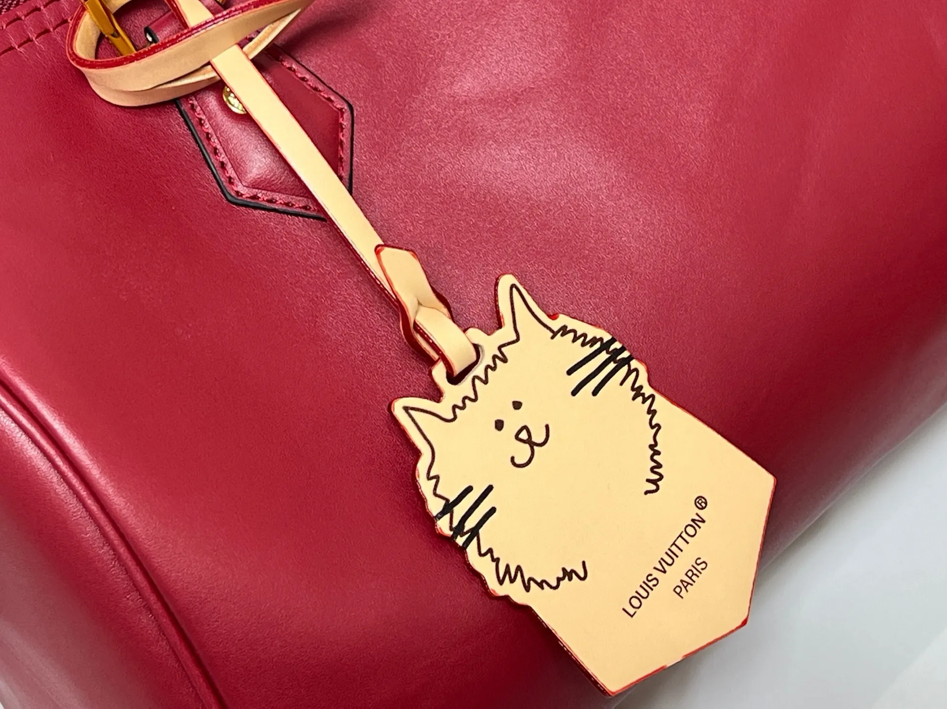Batch 300💰M25766 M13344 This Speedy Soft 30 comes from the LV Travels With Grace Coddlington series. It is made of rich-toned cow leather with gold hardware and a fun cat-shaped key bag. Removable name tag features Grace Coddington's handwriting. Size: 30X21X17 cm