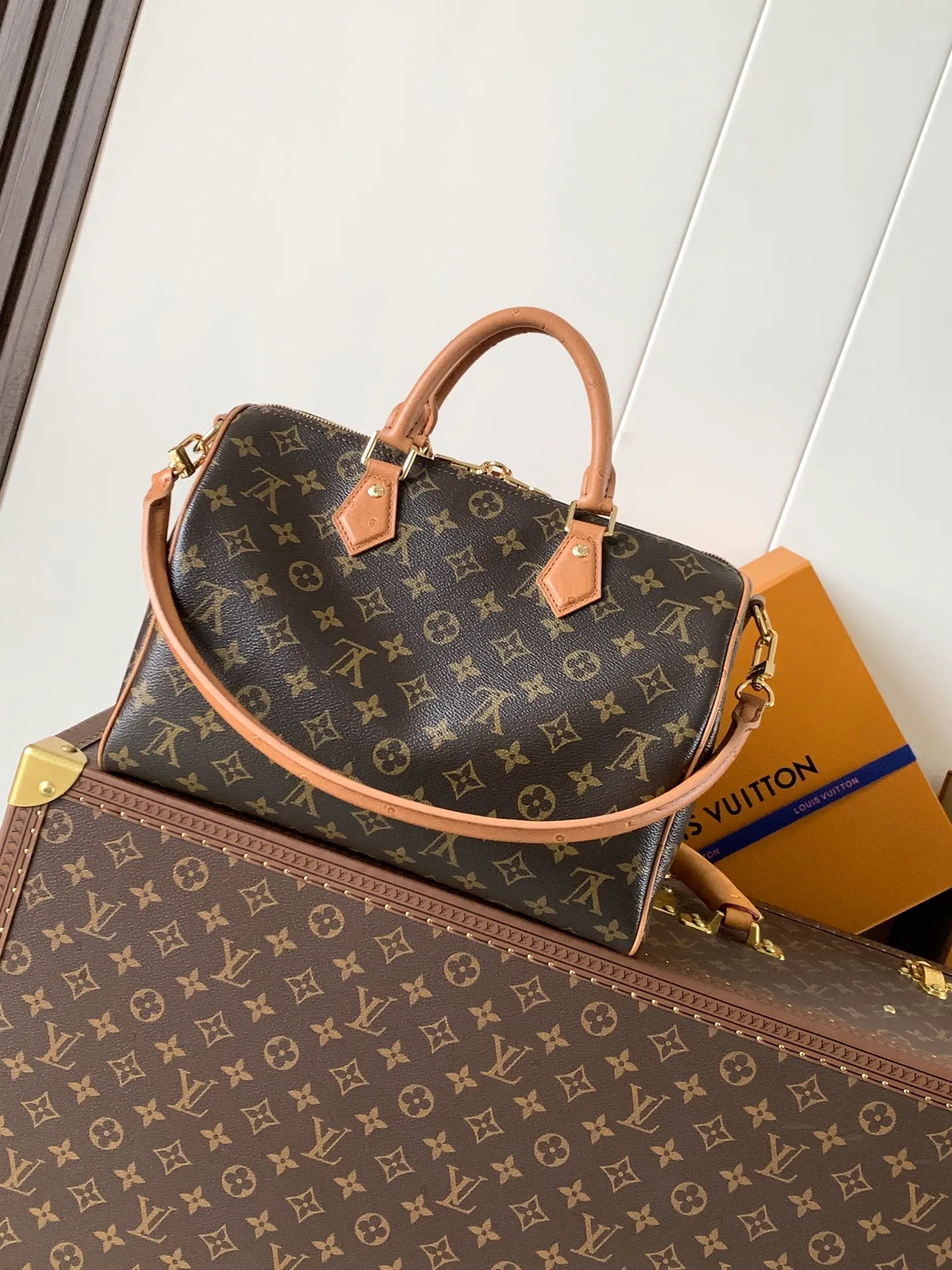 All categories Official website "Brand Women's Bags" Women's Bags 💙 LV 2026 new LV hand-held crossbody bag