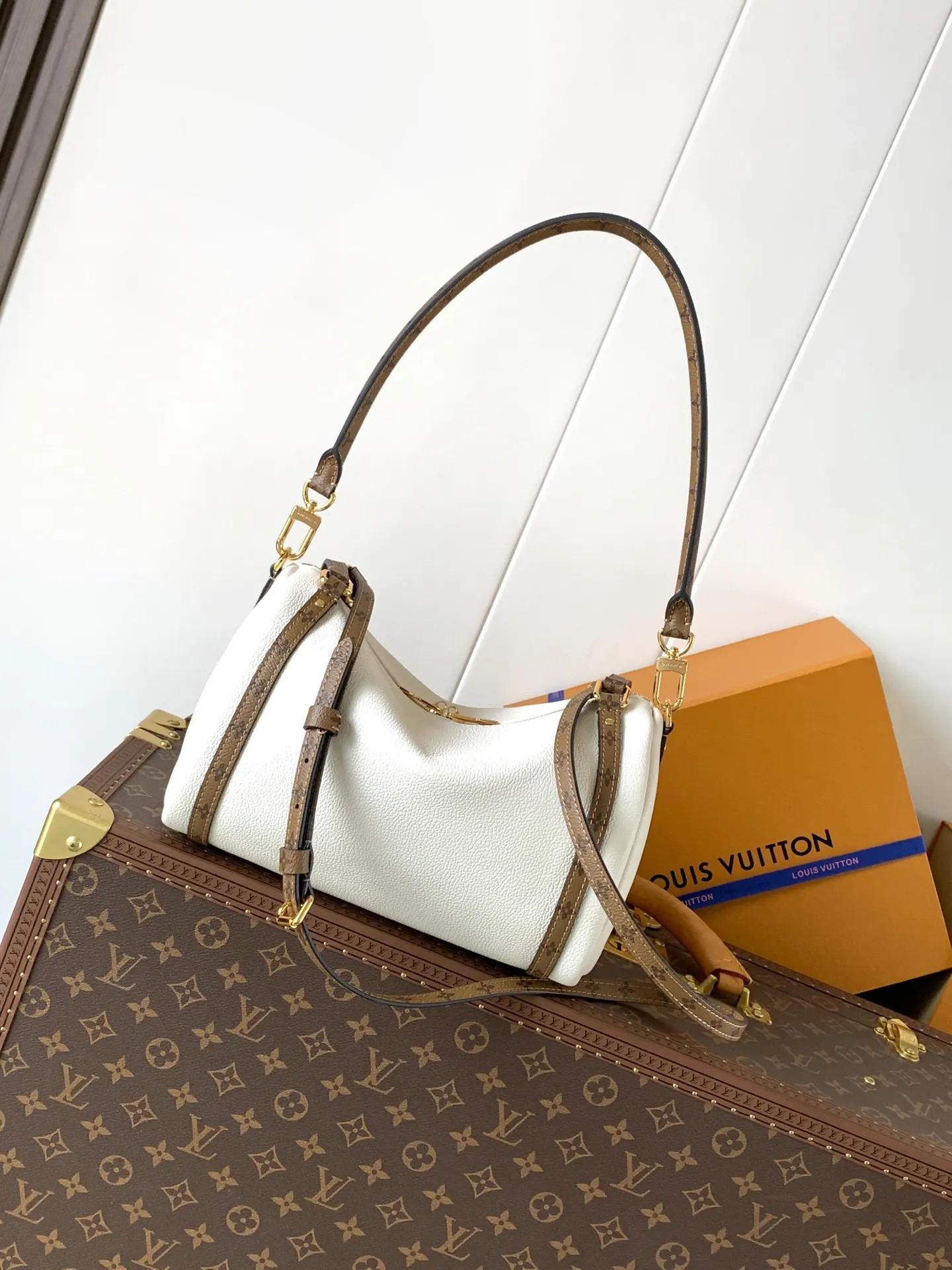 All Categories Official Website "Brand Women's Bags" Women's Bags 💙 LV 2026 New LV Armpit Crossbody Bag