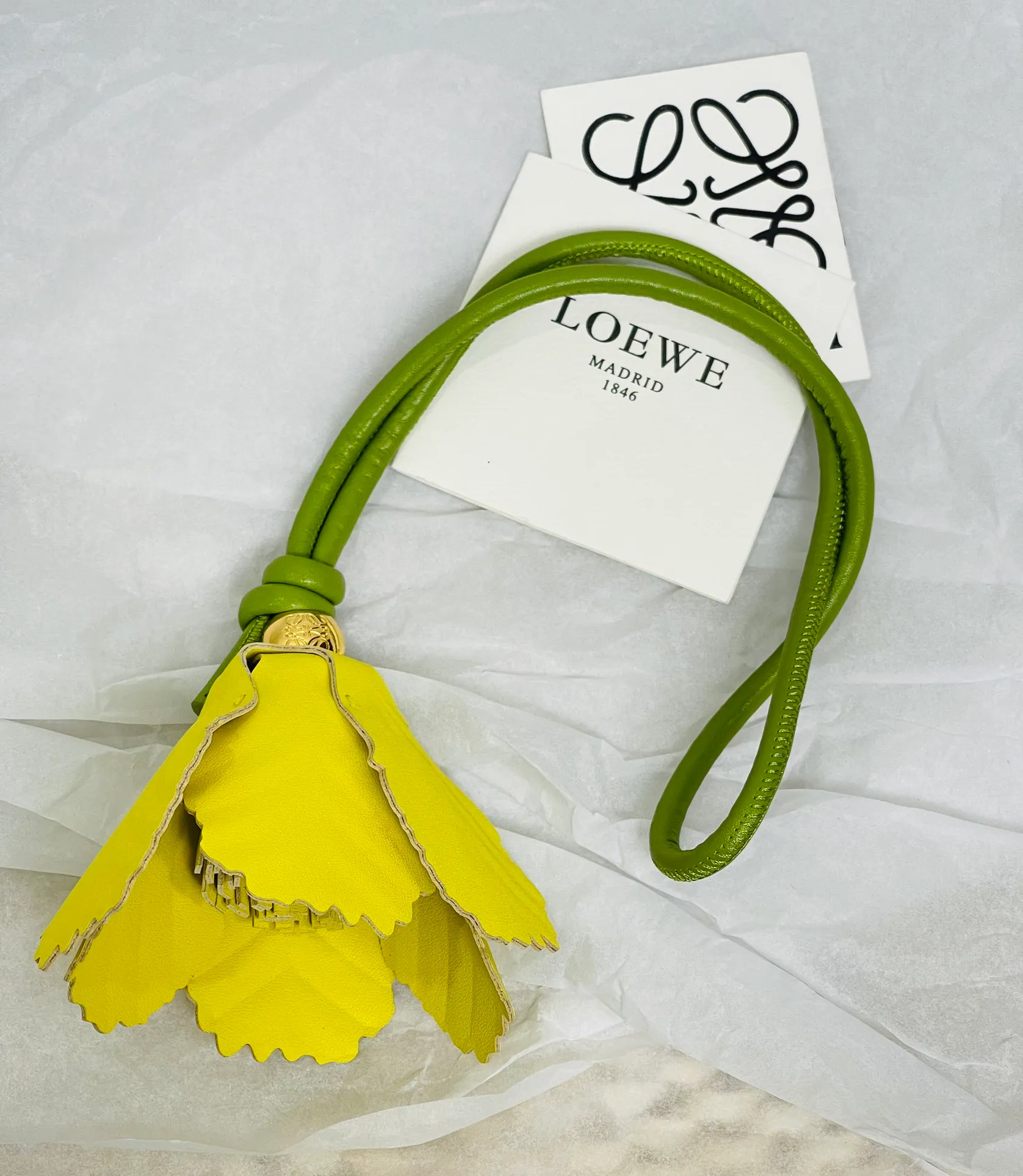 Summer limited accessories