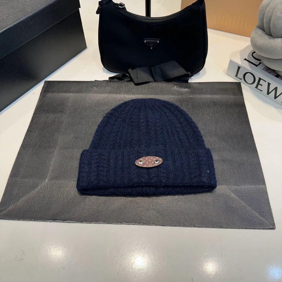 P56 LV Louis new autumn and winter style wool hat, 100% wool fabric🐑