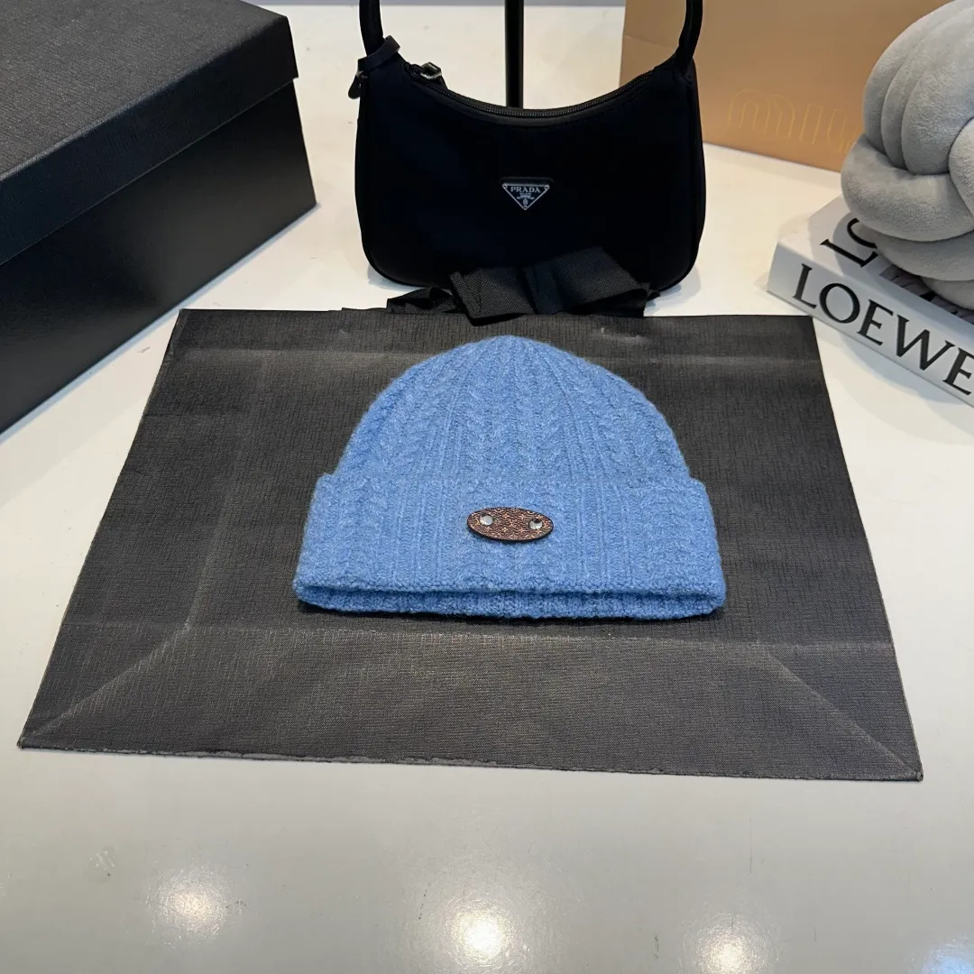 P56 LV Louis new autumn and winter style wool hat, 100% wool fabric🐑
