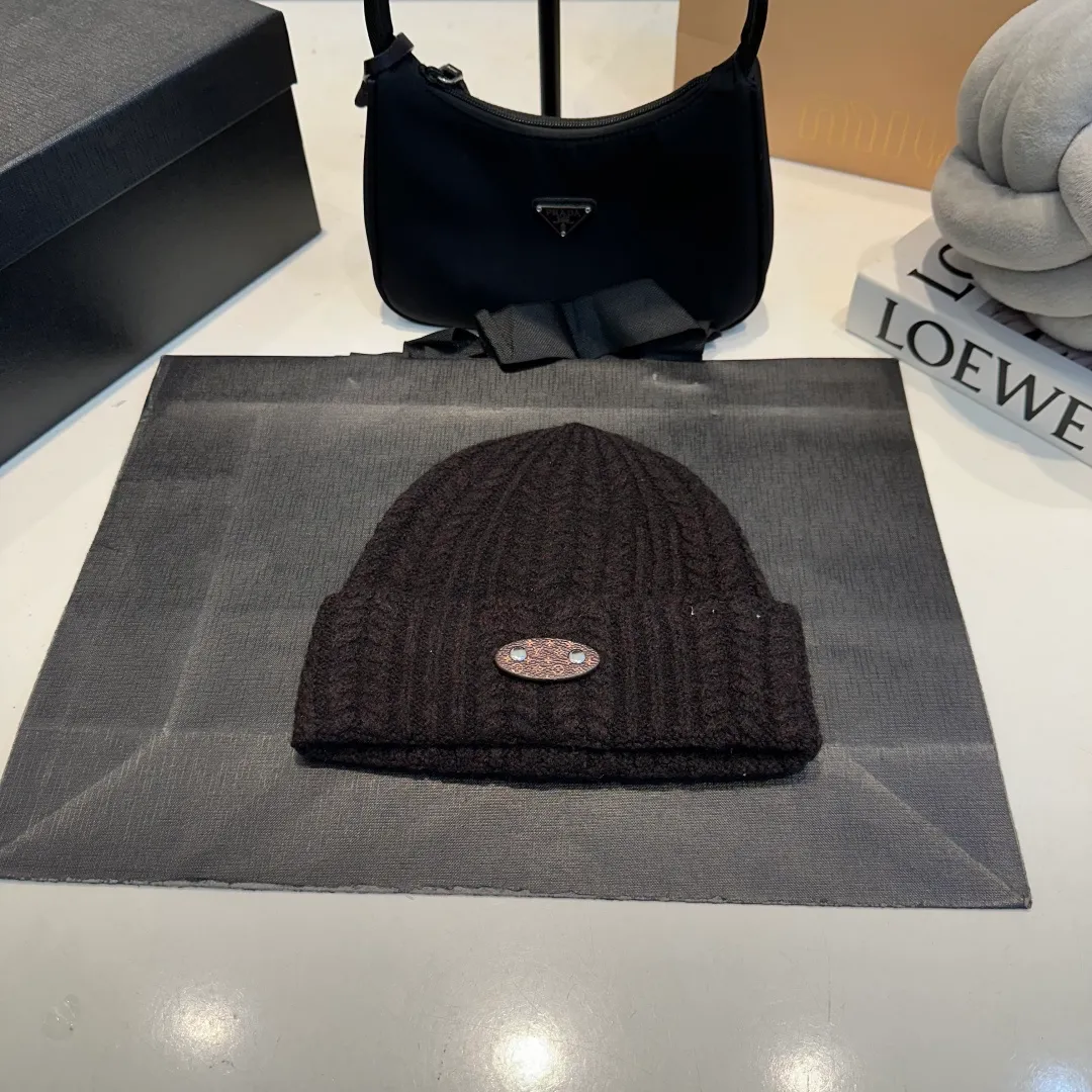 P56 LV Louis new autumn and winter style wool hat, 100% wool fabric🐑