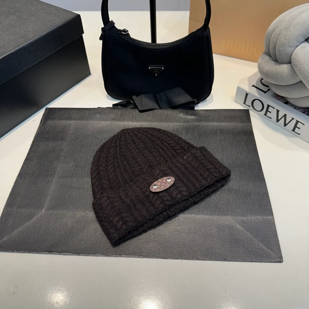 P56 LV Louis new autumn and winter style wool hat, 100% wool fabric🐑