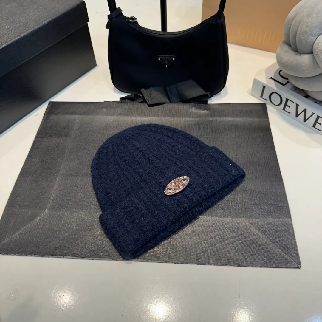 P56 LV Louis new autumn and winter style wool hat, 100% wool fabric🐑