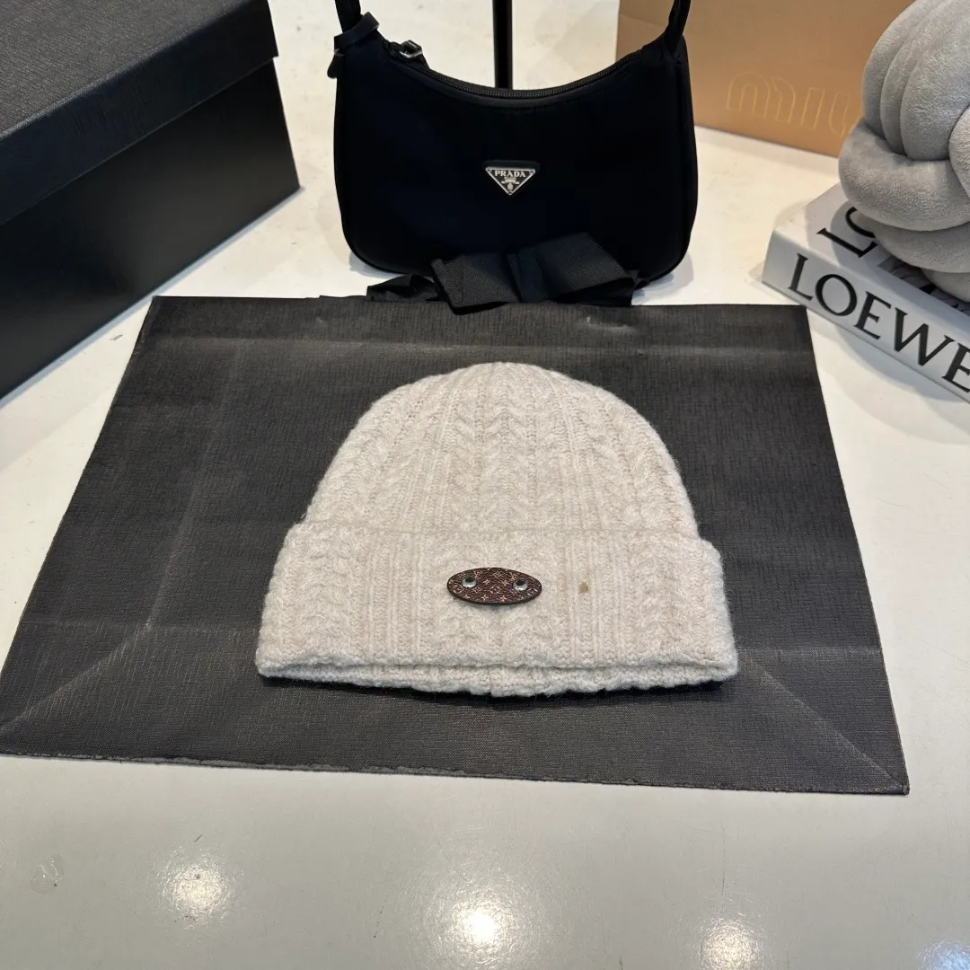 P56 LV Louis new autumn and winter style wool hat, 100% wool fabric🐑