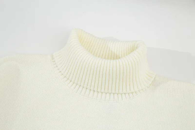 Ami Paris 2024 new autumn and winter turtleneck sweater SMLXL
