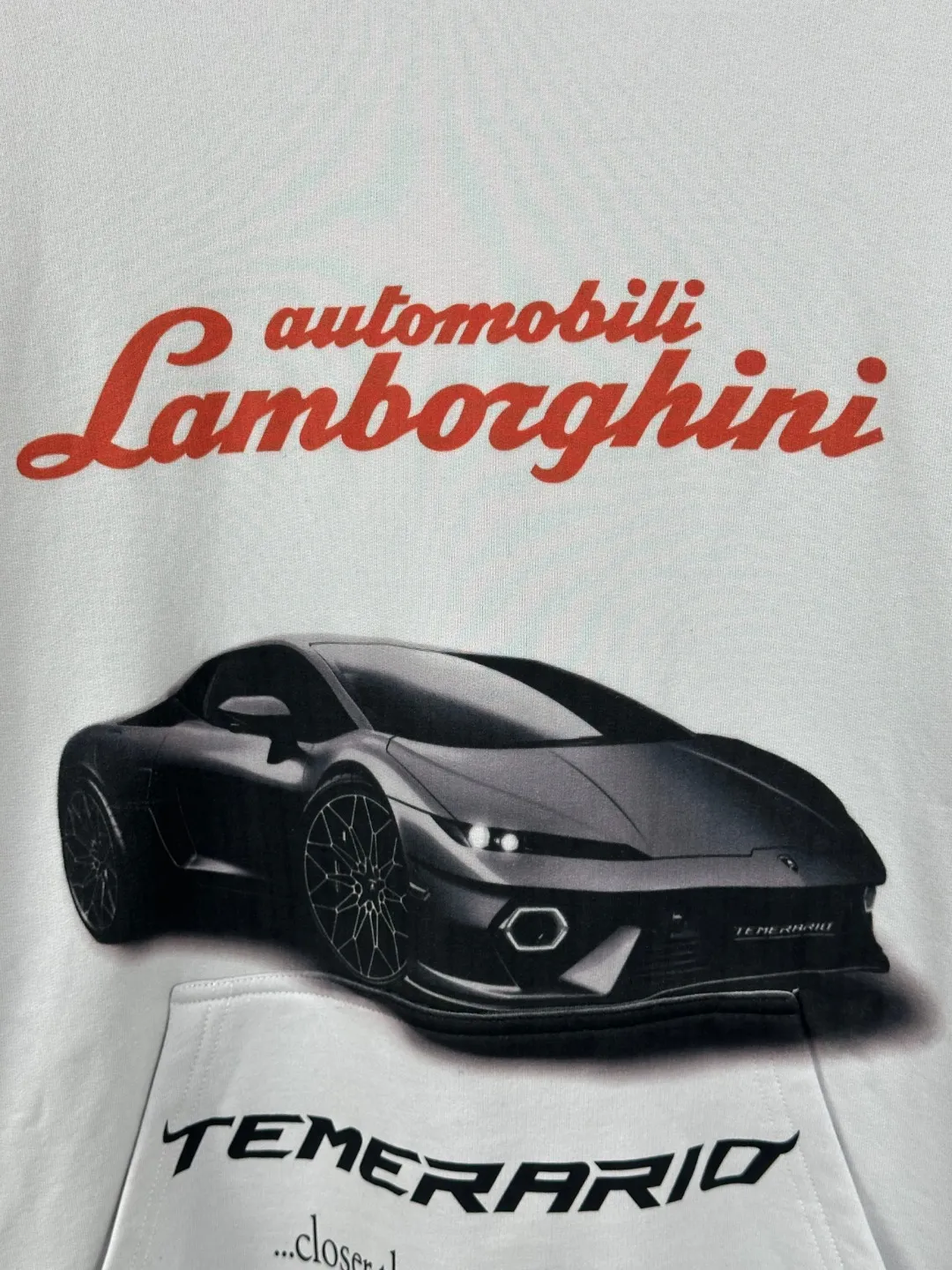 🅿️430 - BALENCI*GA Paris co-branded Lamborghini hooded zipper sweatshirt. The front and rear embroidery printing is done by computer direct printing. Customized matching hardware. The letters are clear. The effect is three-dimensional. Exclusively matched to the pattern, woven and dyed 460g fabric. Threads are dyed in the same cylinder with zero color difference. Brick cabinet synchronization. Welcome to compare. Same style for men and women -Color: black white -SIZE: Xs S M L Style number 8985#