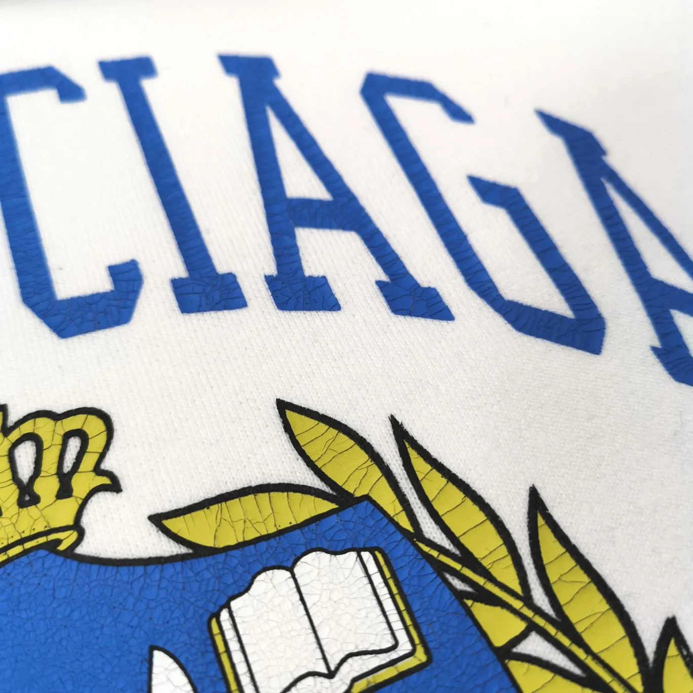 The white details of the 1917 shield are supplemented - the top tried version Balenciaga logo printed EST 1917 knitted T-shirt 2022 new style autumn and winter hoodie sweatshirt for men and women. The process adopts Kangli printing cracking effect. This crack is not a line pattern, but a three-dimensional burst pattern. How many versions on the market are based on pictures? Just make pictures, not craftsmanship? Without a version, it would be impossible to create the original flavor, and it would be almost pointless to brag! The front panel printing glue bursting effect uses imported transparent slurry to scrape the bottom to make the printing bursting feel uniform. (PS: If this process is missing, the printing will easily fall off in large areas after cracking) The fabric is made of 520g composite crystal velvet fabric, which is full of drape, loose and good on the skin. Color: black white Size: XS-L (maximum wear: 230 pounds) P:490