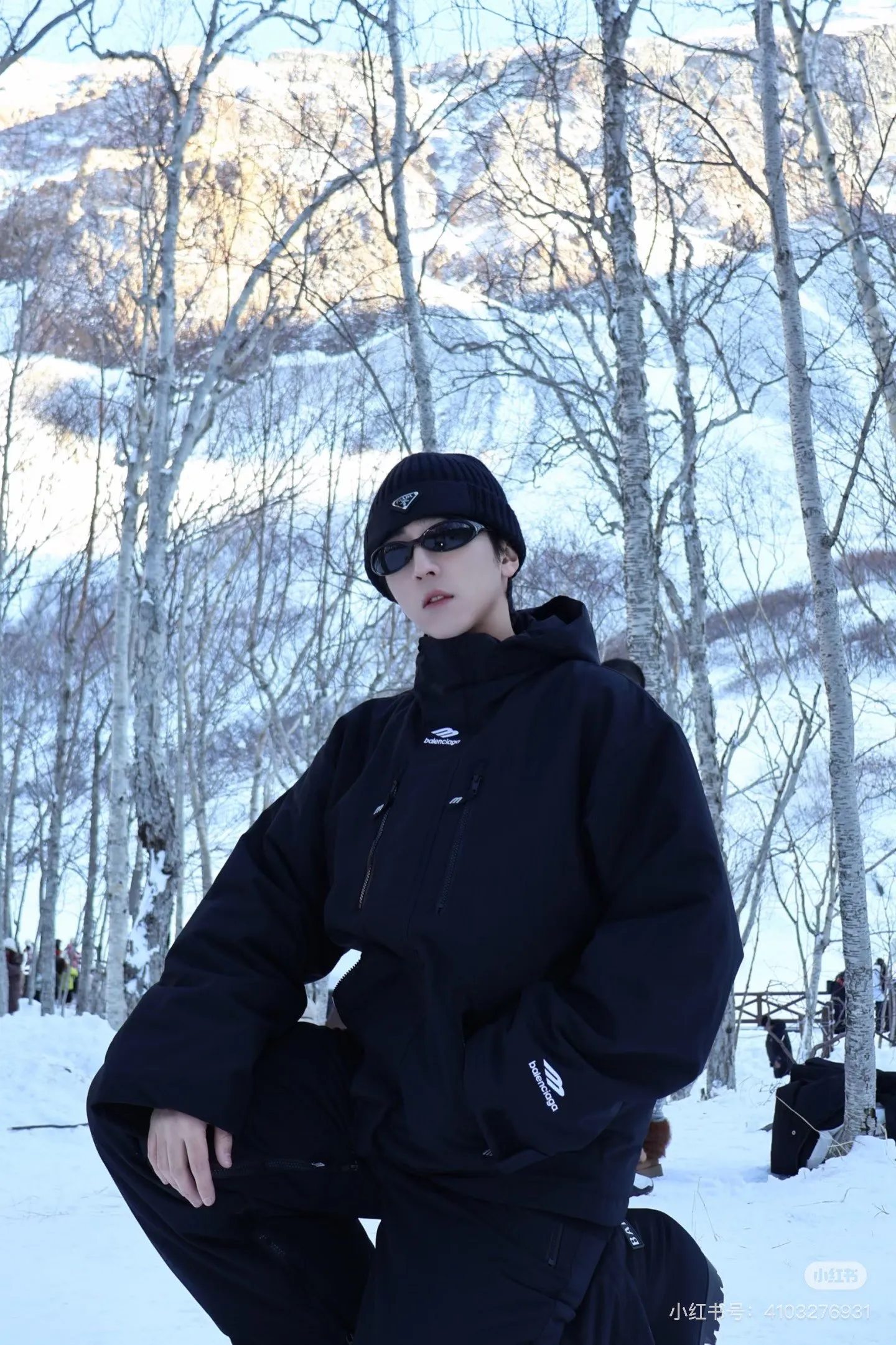 Model picture