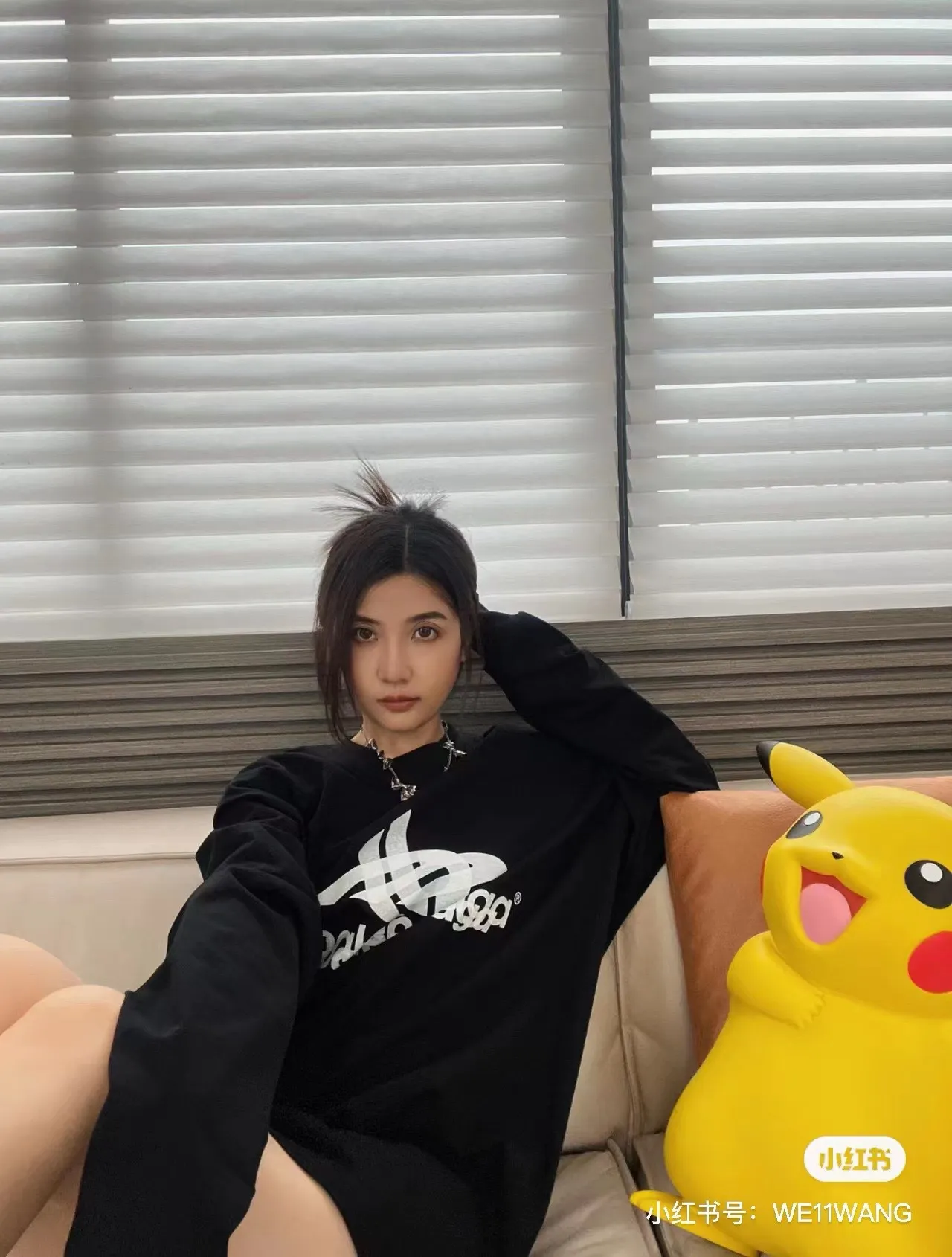 Model picture