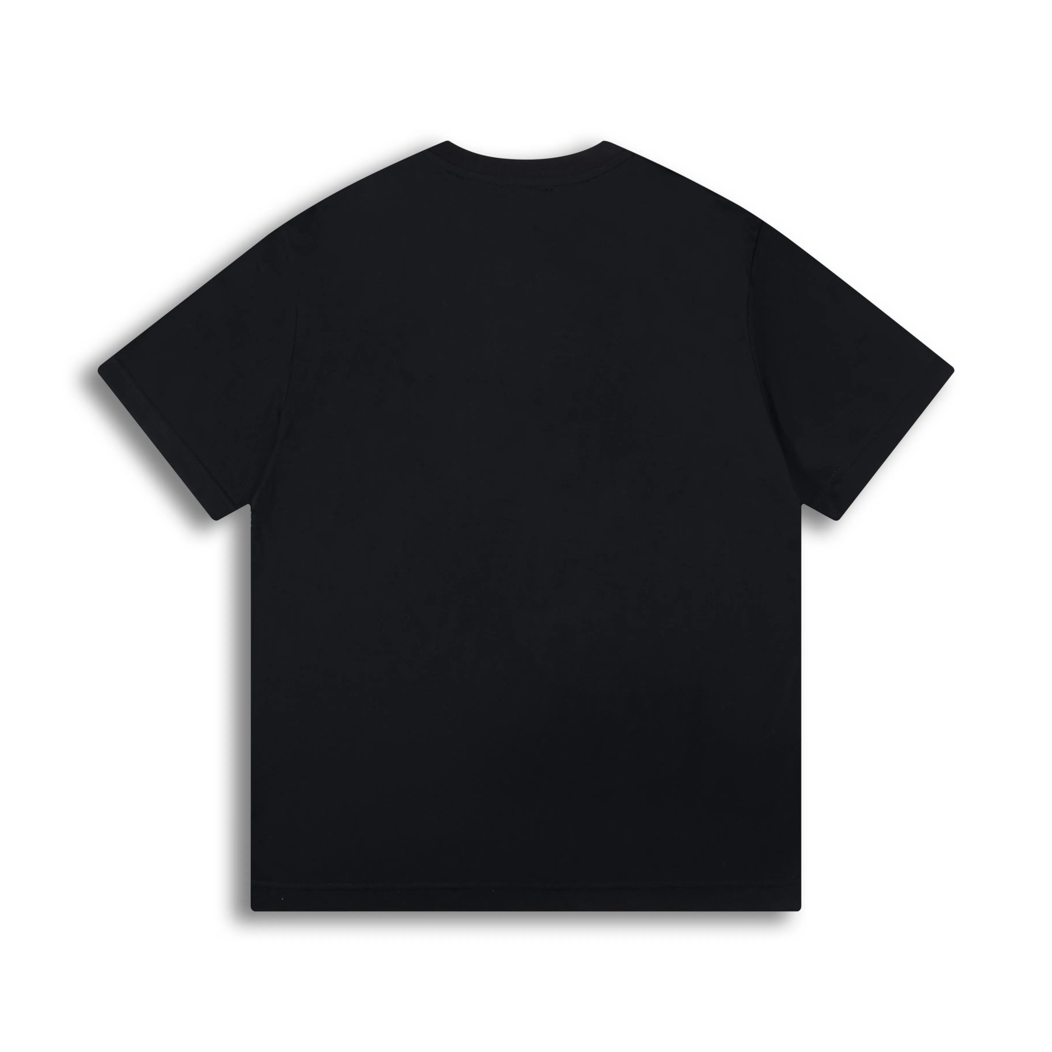 🅿️170 Correct version of high quality Celine Arc de Triomphe 2025ss spring and summer new style printed logo letters round neck short-sleeved T-shirt for men and women SIZE: XS S M L