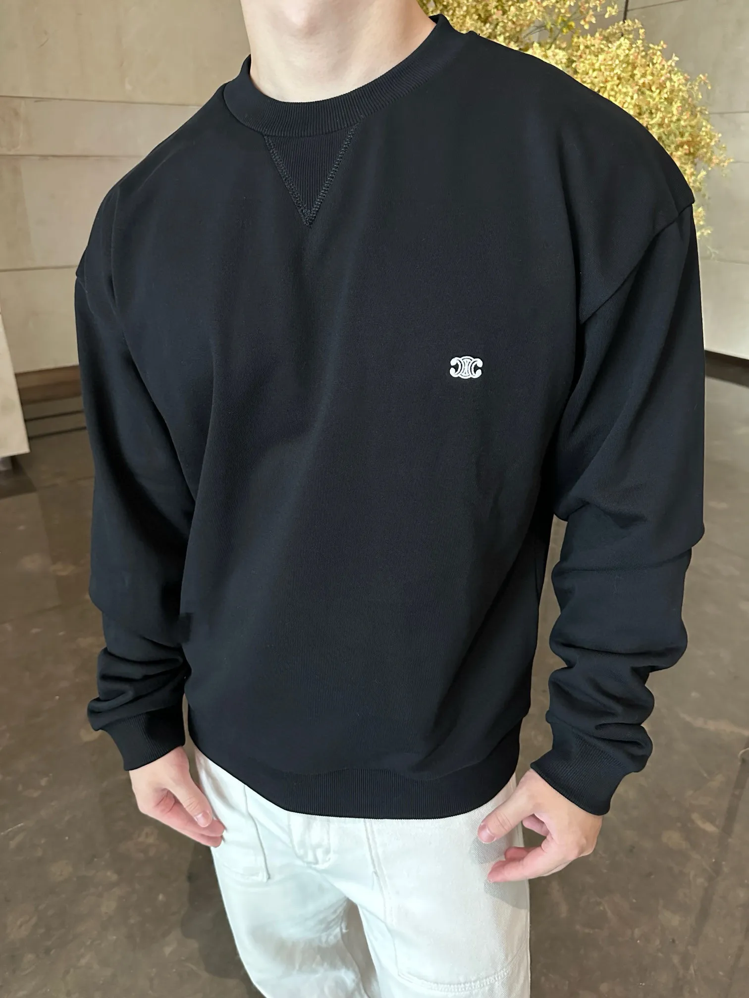 model picture