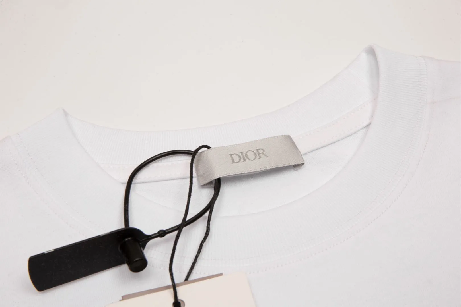 🅿️180 High-quality DIOR/Dior new series Apple snake embroidered short-sleeved T-shirt, pure cotton double yarn fabric, using high-density thread embroidery, loose version, full set of accessories, soft and thick fabric, complete with three standards, same size for men and women. Size xs s m l