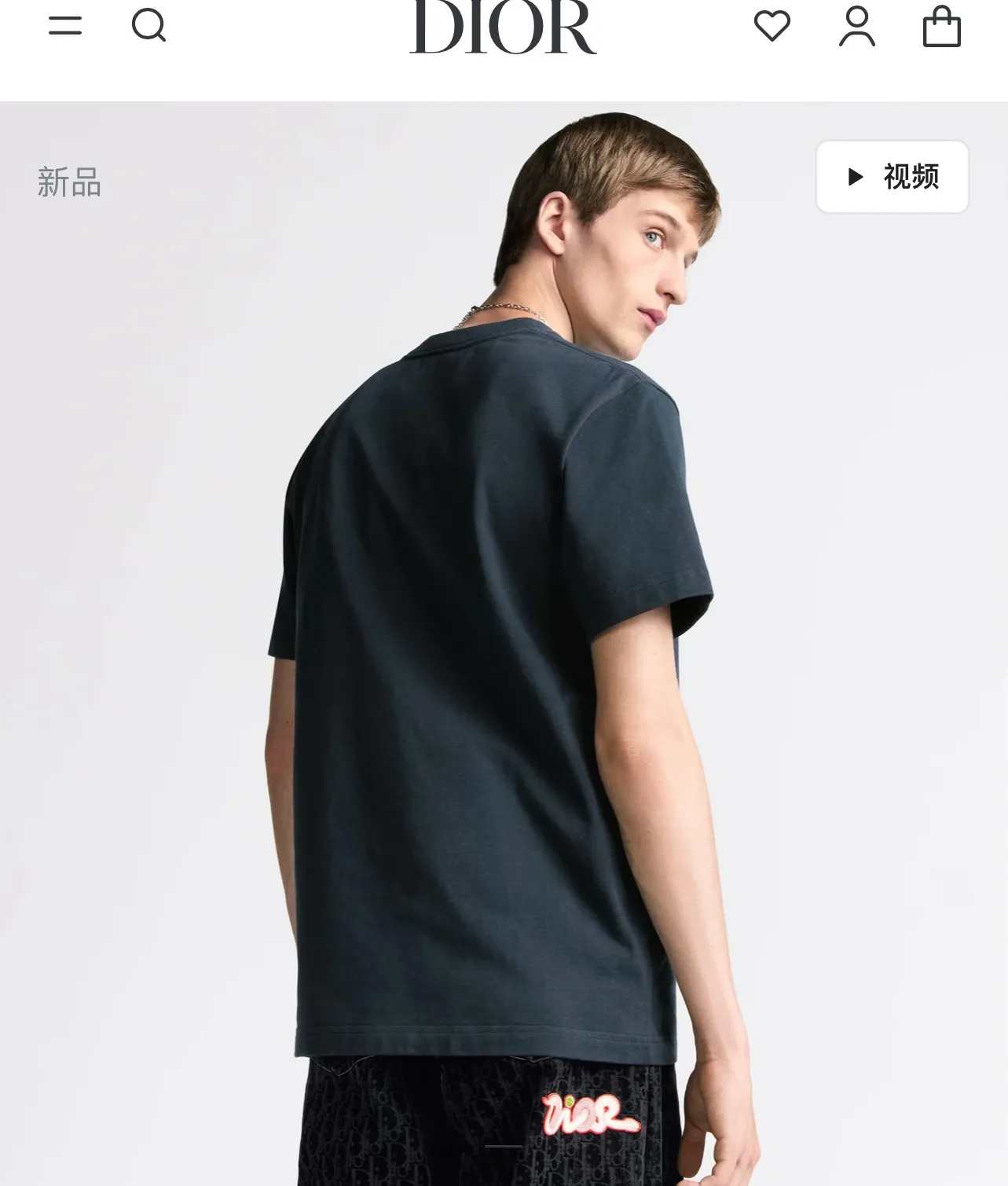model picture