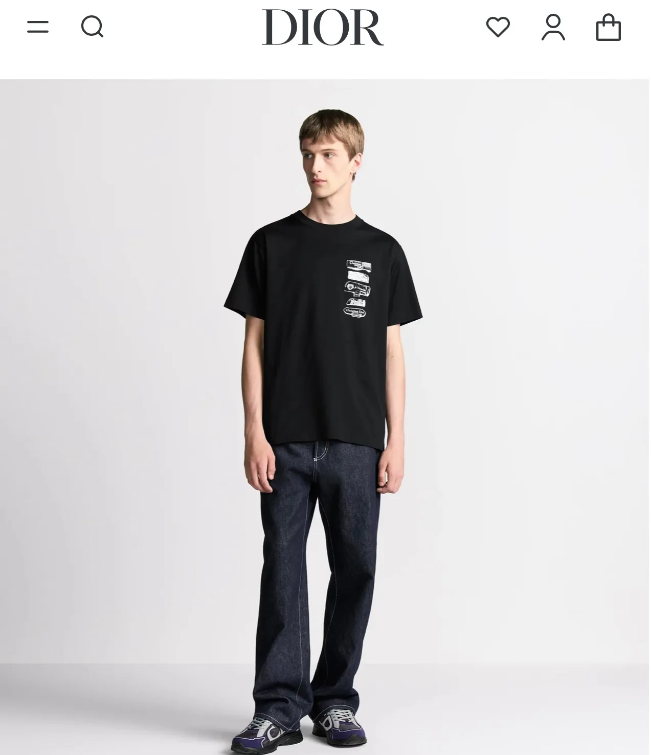 model picture
