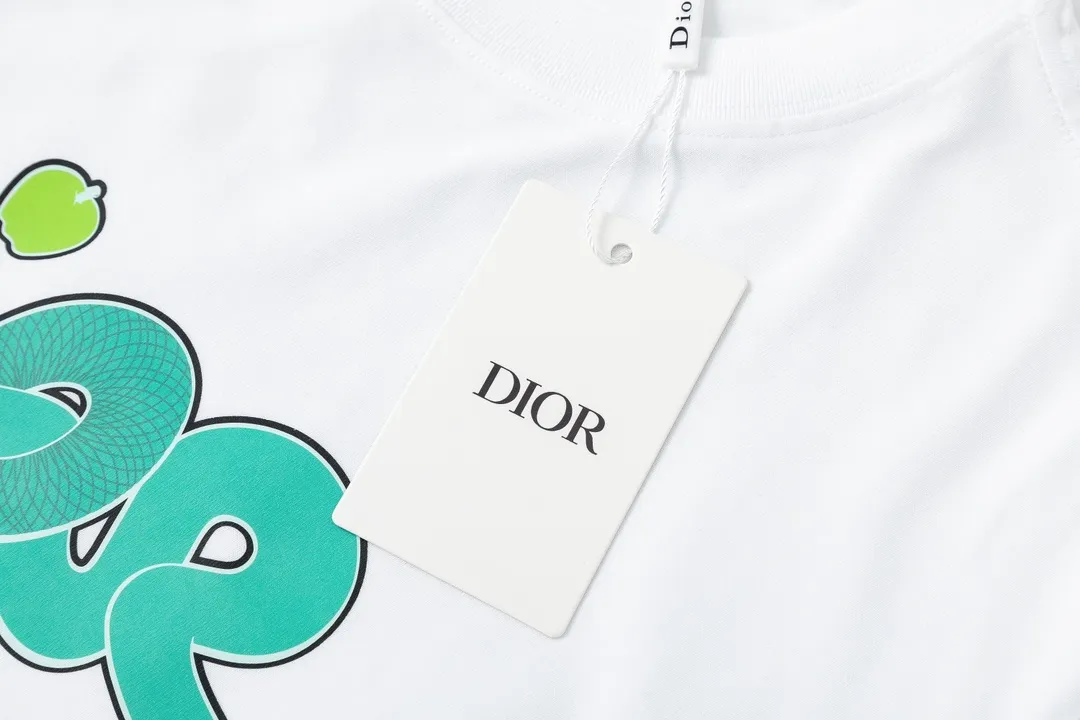 🅿️170 Dior Dior joint KAWS series 2025 new style snake-shaped letter logo Uniform short-sleeved T-shirt for men and women ·Customized 280g 100% double yarn pure cotton fabric ·Dyeing 32 counts double-strand thread ·Kangli digital direct printing process ·Collar label, hangtag, main mark and three complete labels Color: white Size: XS S M L