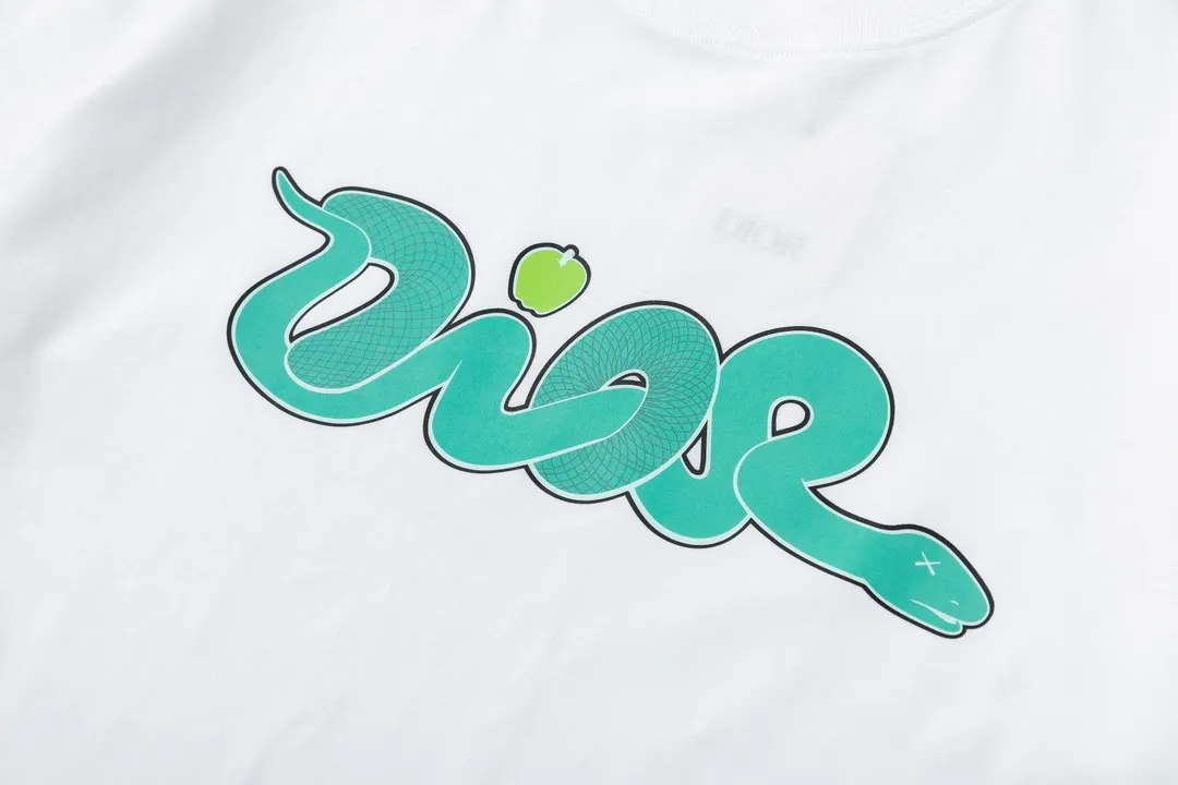 🅿️170 Dior Dior joint KAWS series 2025 new style snake-shaped letter logo Uniform short-sleeved T-shirt for men and women ·Customized 280g 100% double yarn pure cotton fabric ·Dyeing 32 counts double-strand thread ·Kangli digital direct printing process ·Collar label, hangtag, main mark and three complete labels Color: white Size: XS S M L