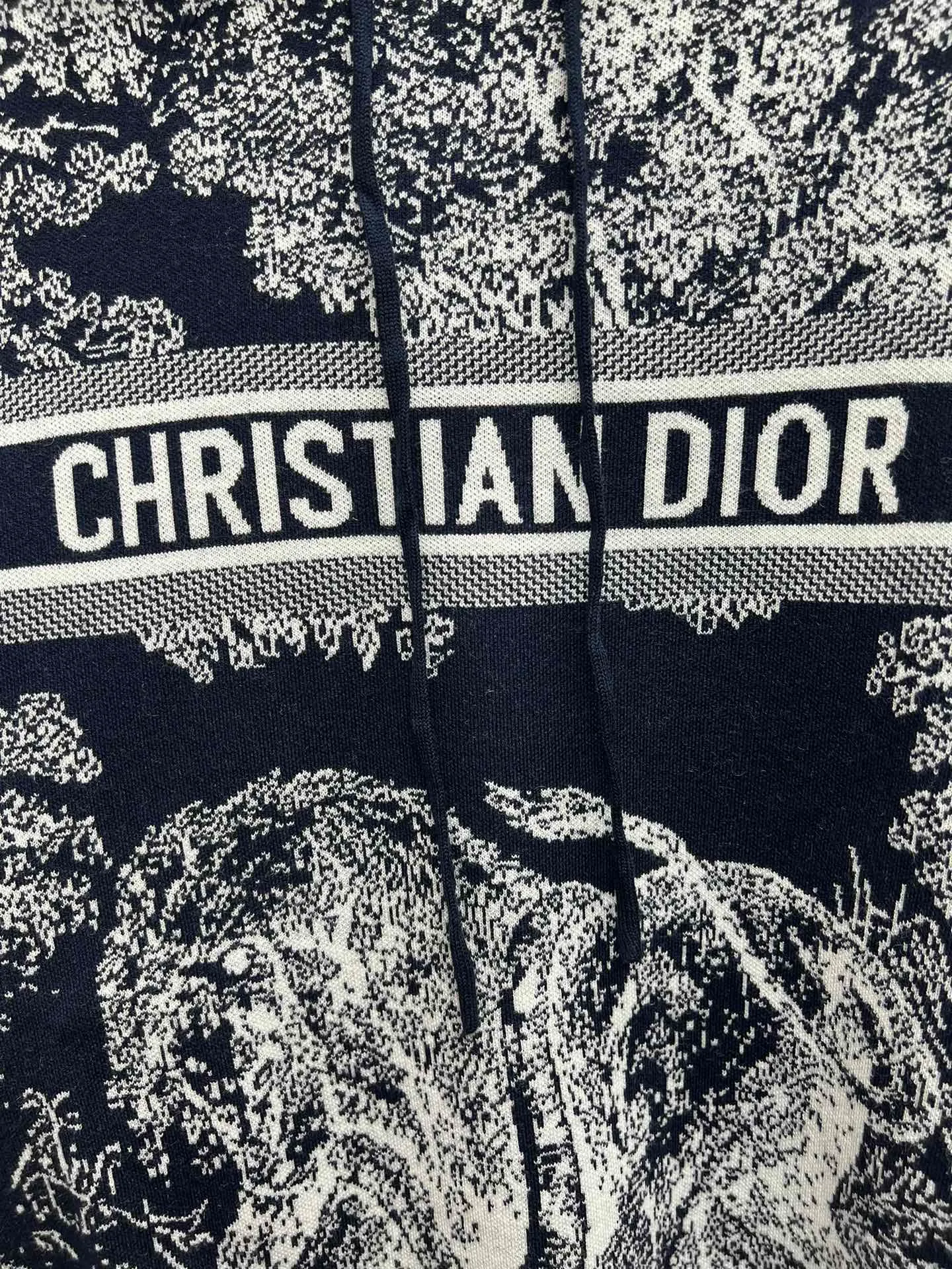🅿️680 complete set of Dior 25ss new letter logo Rui jungle jacquard loose hooded long-sleeved pullover knitted sweatshirt! Size: S.M.L.