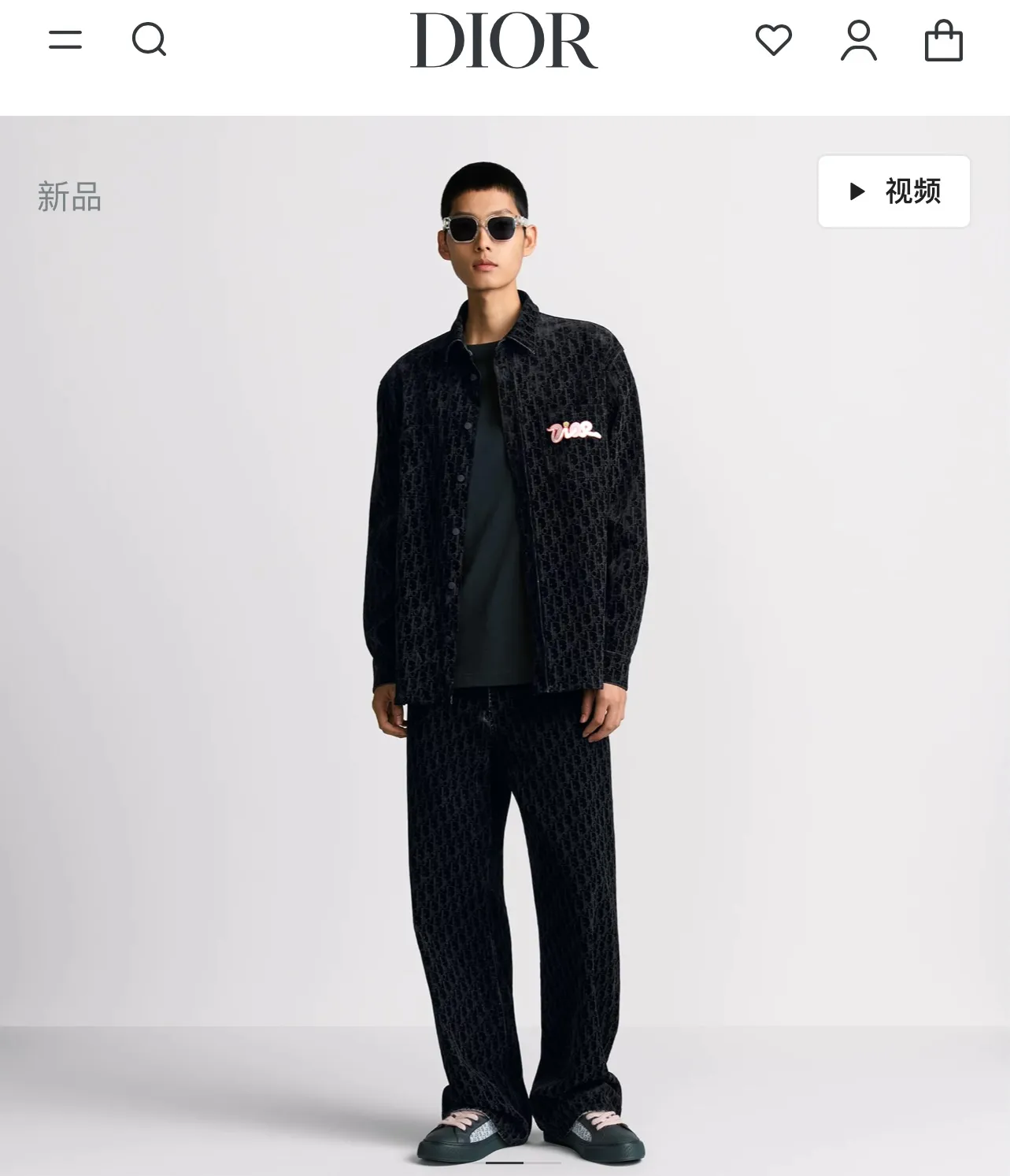 model picture