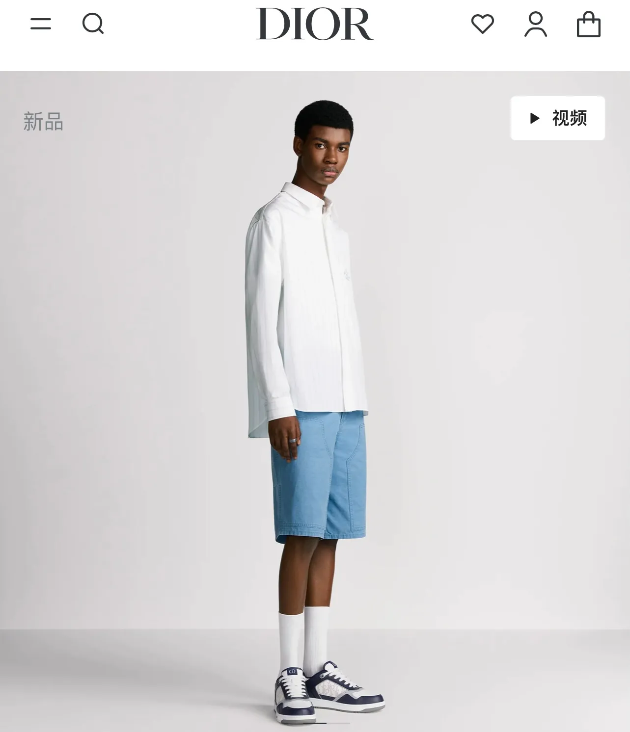 model picture