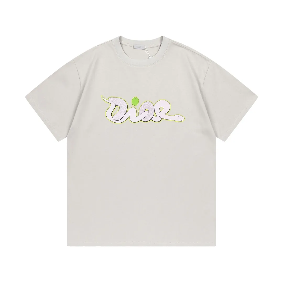 🅿️170 Dior Dior joint KAWS series 2025 new style snake-shaped letter logo Uniform short-sleeved T-shirt for men and women ·Customized 280g 100% double yarn pure cotton fabric ·Dyeing 32 count double-strand thread ·Kangli digital direct printing process ·Collar label, hangtag, main mark and three labels complete Color: Gray Size: XS S M L