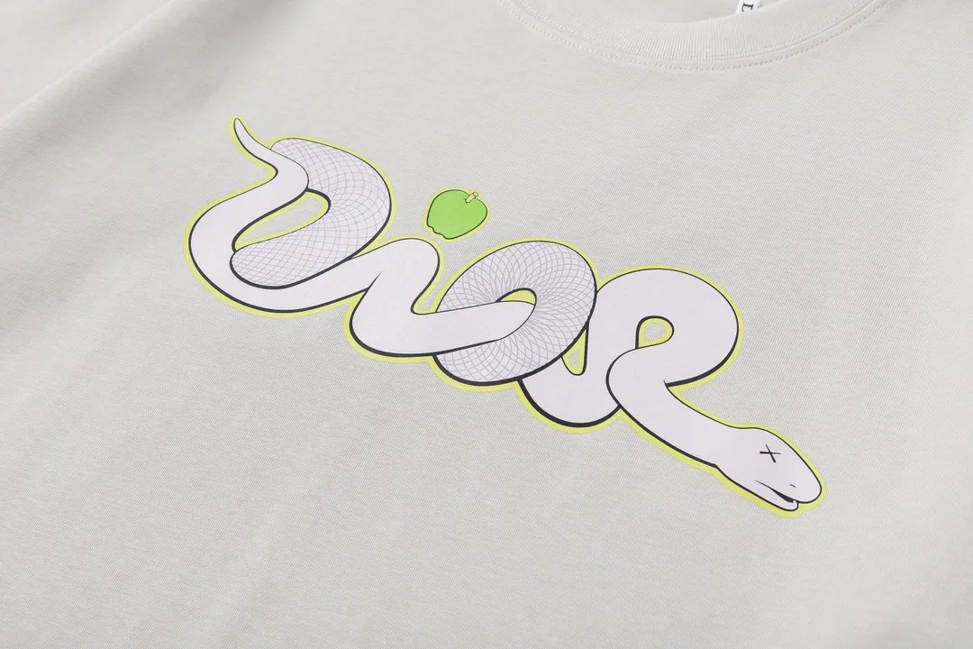 🅿️170 Dior Dior joint KAWS series 2025 new style snake-shaped letter logo Uniform short-sleeved T-shirt for men and women ·Customized 280g 100% double yarn pure cotton fabric ·Dyeing 32 count double-strand thread ·Kangli digital direct printing process ·Collar label, hangtag, main mark and three labels complete Color: Gray Size: XS S M L