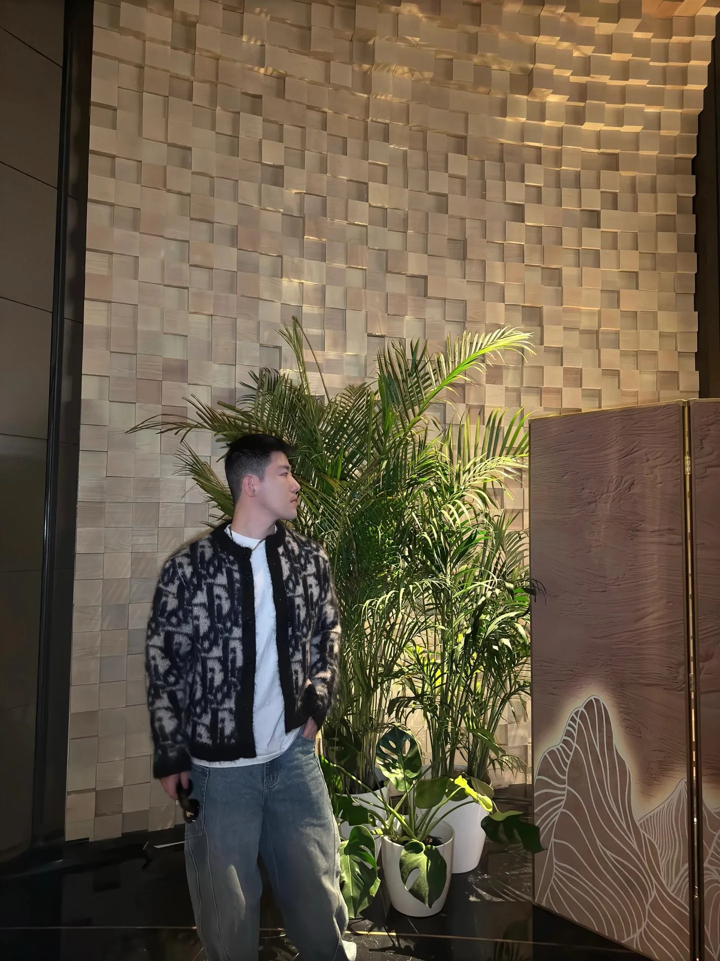 model picture