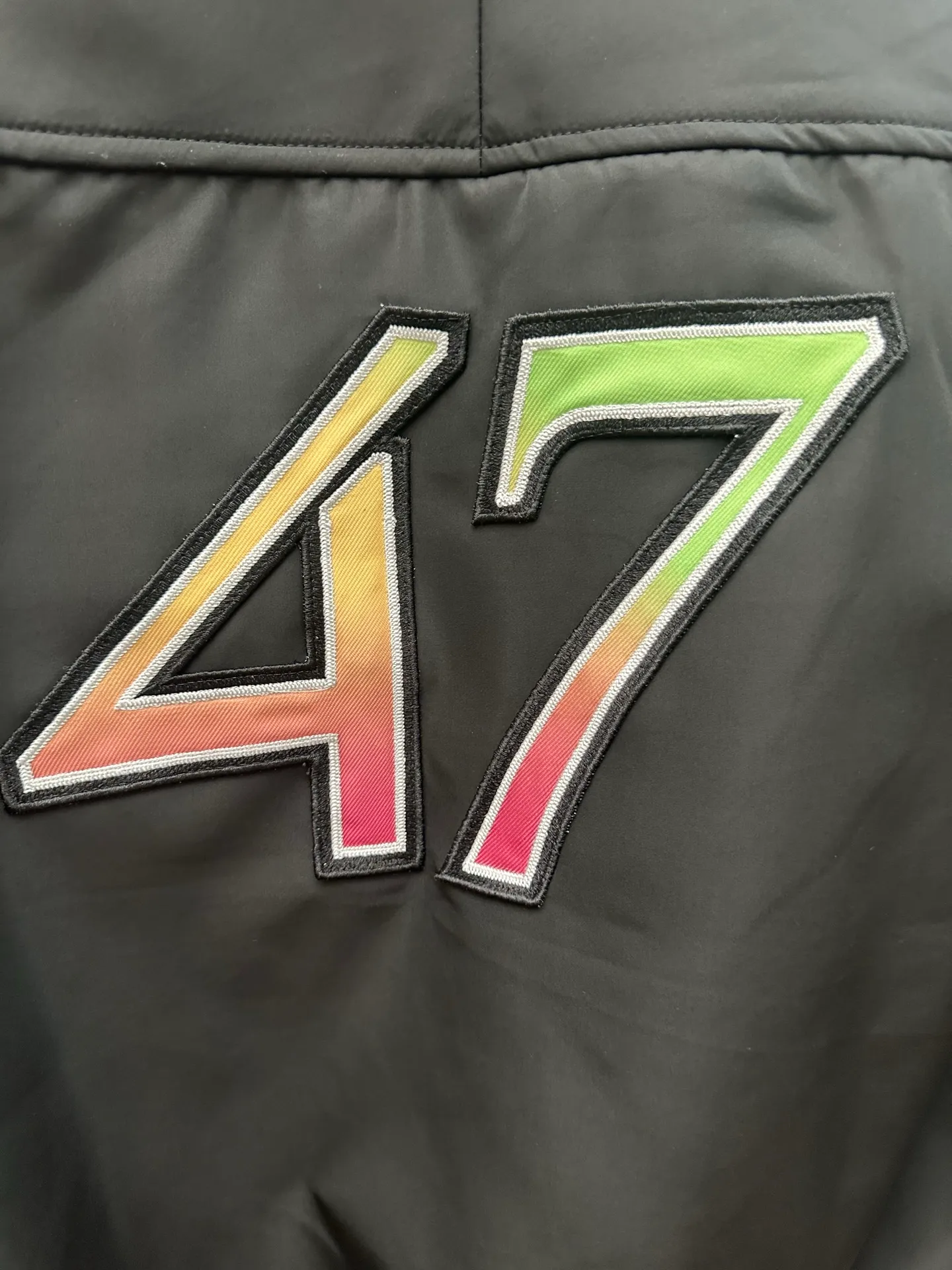 🅿️650 DIOR Lewis Hamilton 25SS co-branded embroidered baseball jacket, black background with pink trim, pink decoration on the cuffs and hem. Dior 47 logo on the chest, colorful lizard embroidery on the sleeves, and 47 number embroidery on the back. The fabric is comfortable and the workmanship is exquisite. Size: S M L XL