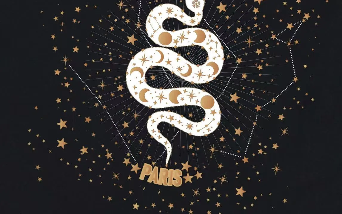 🅿️170 (out the next day) DIOR Dior 2025 new height limited star snake letter logo same style for men and women short-sleeved T-shirt ·Customized 300 grams of 100% double yarn pure cotton fabric ·Dyeing of 32 double-strand threads ·Complete collar label, hangtag, main mark and three labels Color: black Size: XS S M L