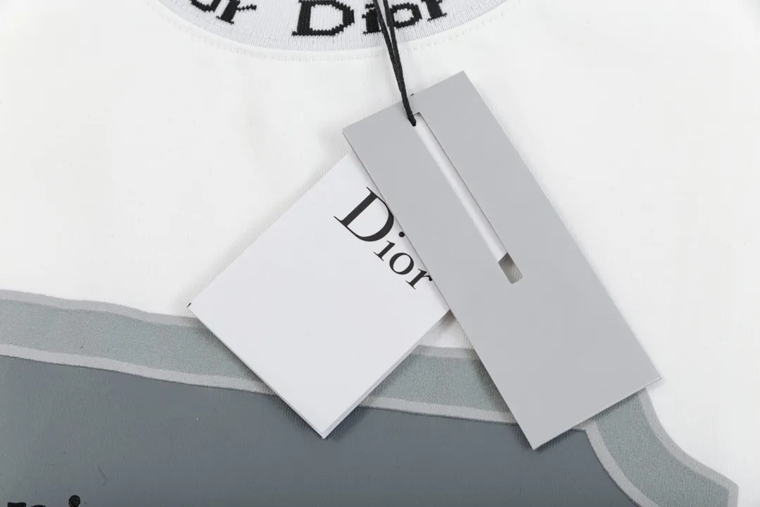 🅿️180 high version DIOR Dior 2025 early spring new style customized 310g double yarn pure cotton fabric letter logo collar chest flocking foam frame technology same style for men and women short-sleeved T-shirt Color: White Size: S-XL