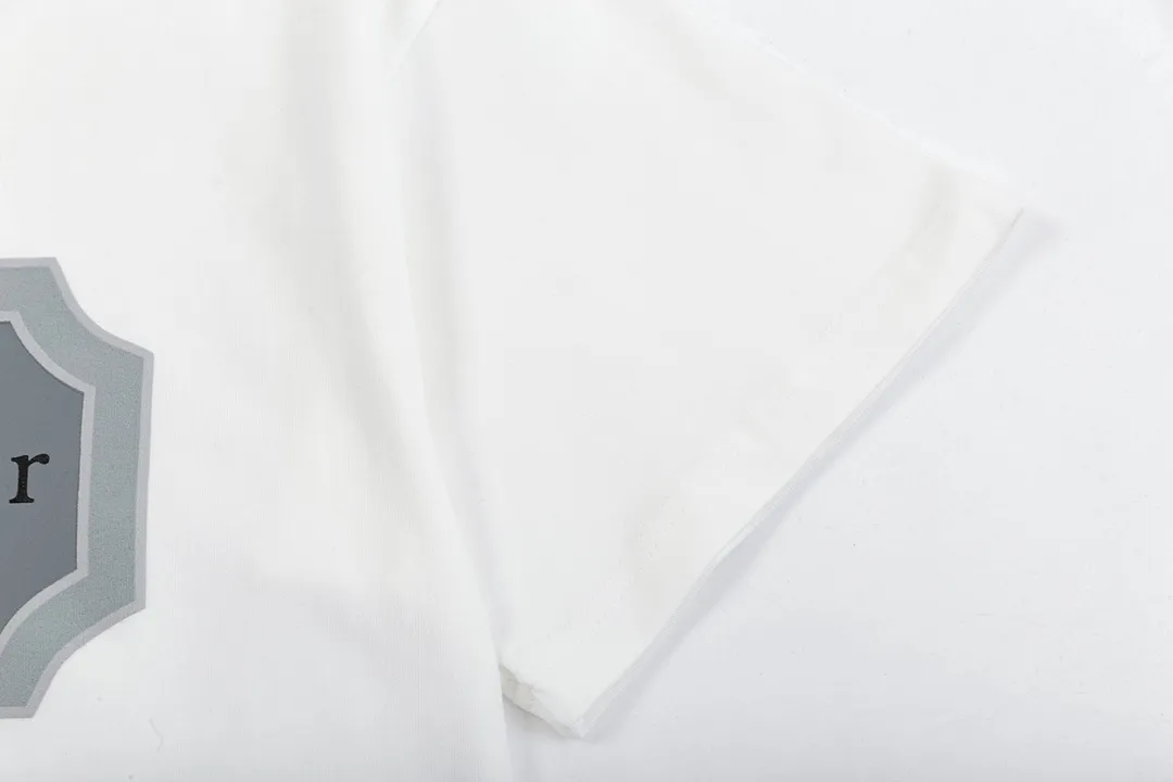 🅿️180 high version DIOR Dior 2025 early spring new style customized 310g double yarn pure cotton fabric letter logo collar chest flocking foam frame technology same style for men and women short-sleeved T-shirt Color: White Size: S-XL