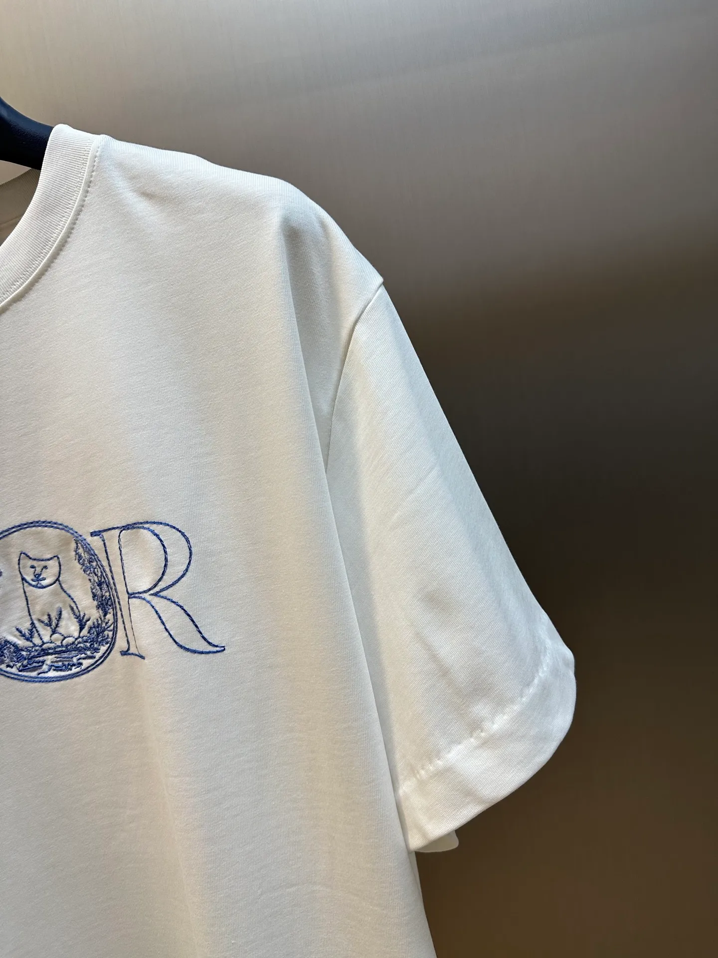 🅿️240 4-day pre-sale DIOR 25 joint short-sleeve This T-shirt displays the logo from this season’s DIOR AND HYLTON NEL joint series. Crafted from blue cotton jersey, it has a classic silhouette with a ribbed crew neck and embroidery on the chest for added style.  size：xs s m l