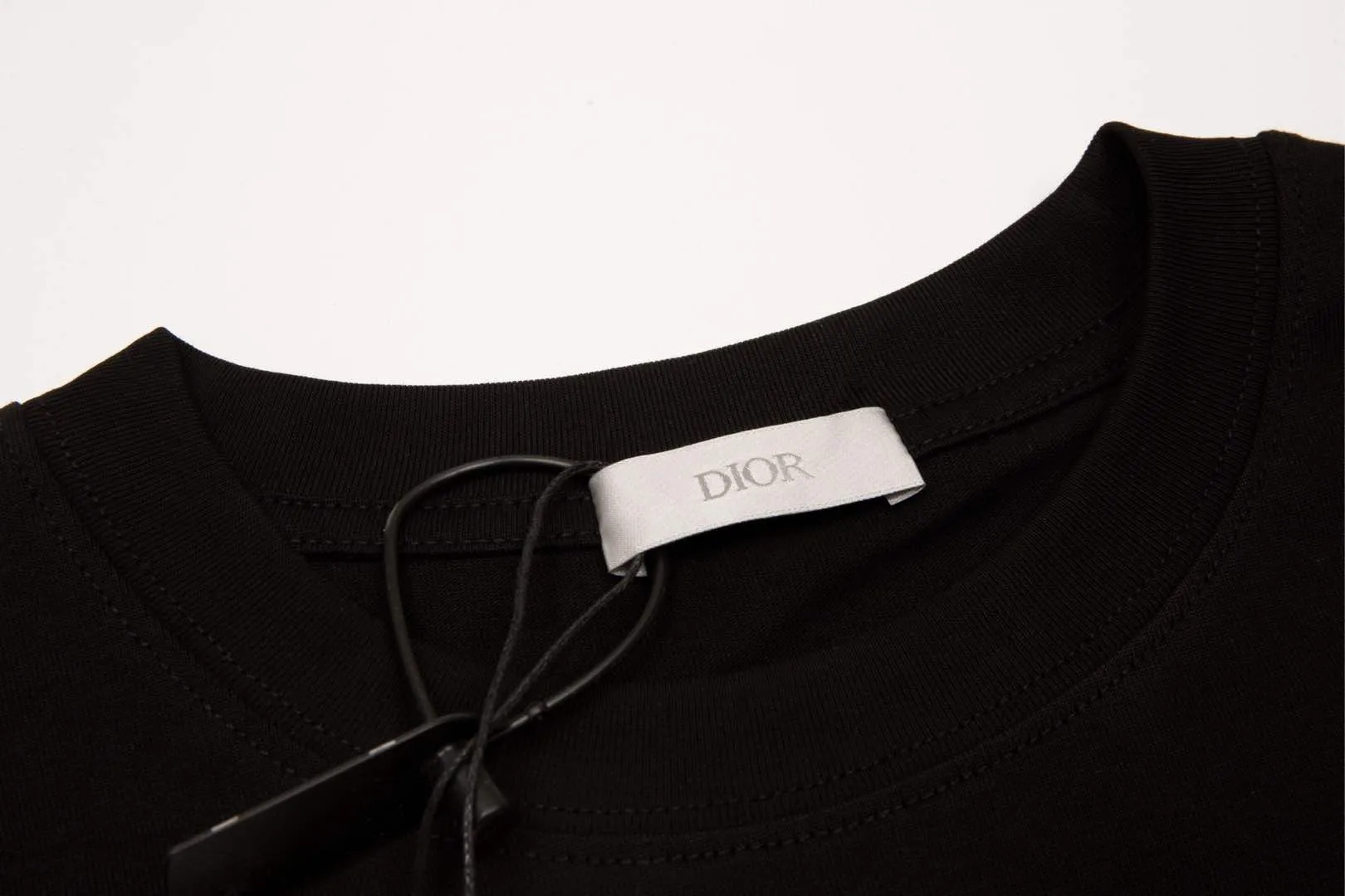 🅿️180 High-quality DIOR/Dior new series Apple snake embroidered short-sleeved T-shirt, pure cotton double yarn fabric, using high-density thread embroidery, loose version, full set of accessories, soft and thick fabric, complete with three standards, same size for men and women. Size xs s m l