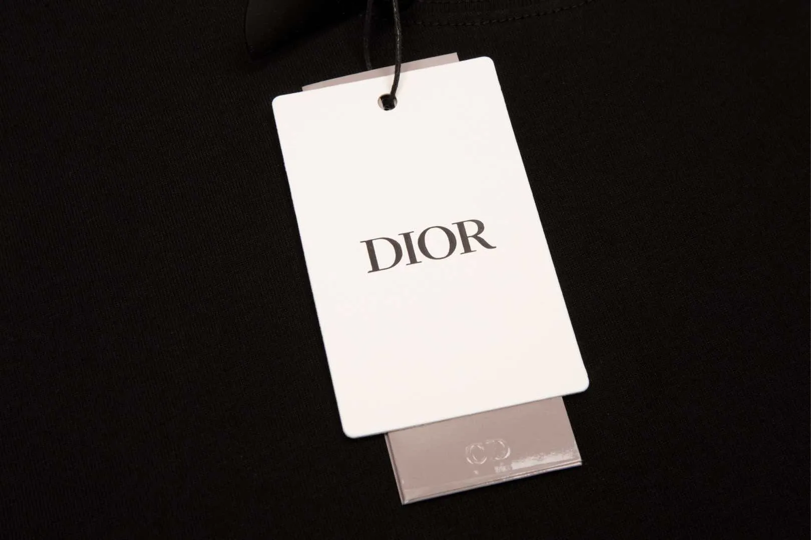 🅿️180 High-quality DIOR/Dior new series Apple snake embroidered short-sleeved T-shirt, pure cotton double yarn fabric, using high-density thread embroidery, loose version, full set of accessories, soft and thick fabric, complete with three standards, same size for men and women. Size xs s m l