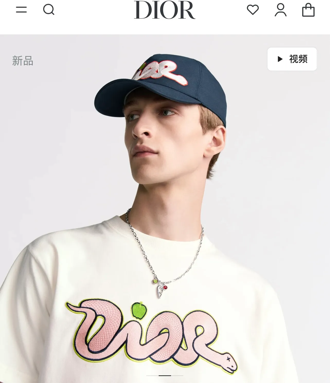 model picture