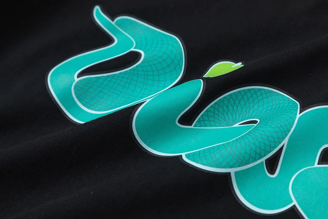 🅿️170 Dior Dior joint KAWS series 2025 new style snake-shaped letter logo Uniform short-sleeved T-shirt for men and women ·Customized 280g 100% double yarn pure cotton fabric ·Dyeing 32 count double-strand thread ·Kangli digital direct printing technology ·Collar label, hangtag, main mark and three labels complete Color: black Size: XS S M L