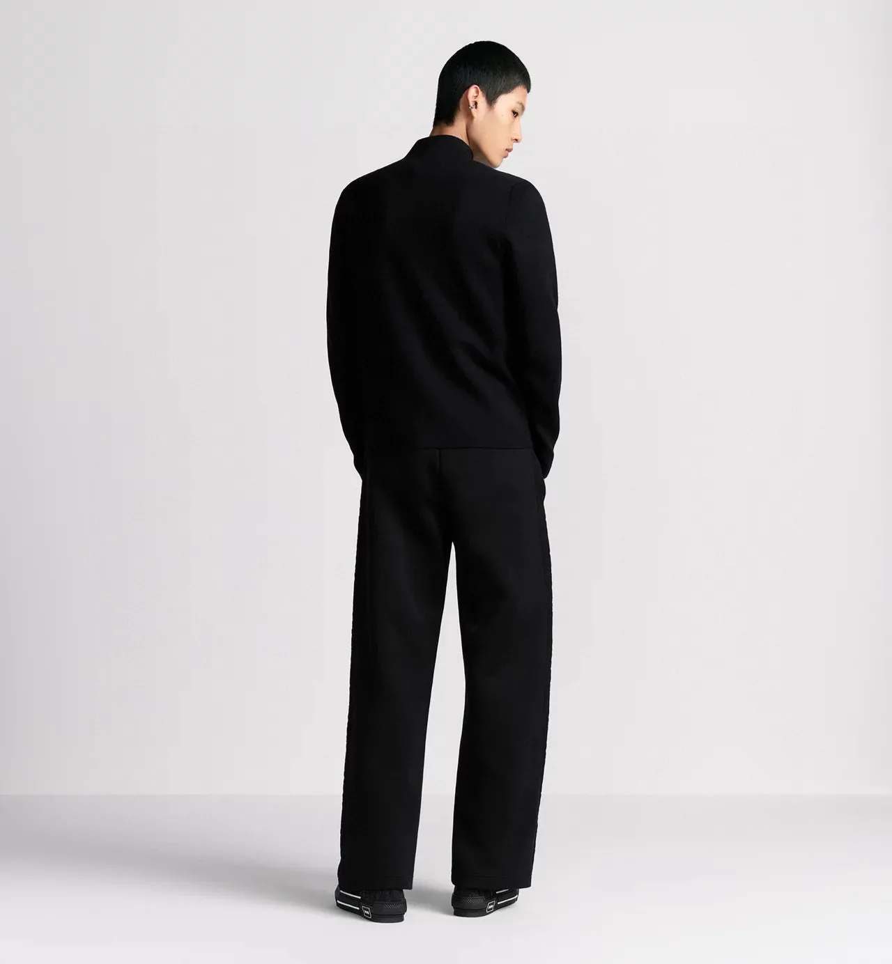 model picture