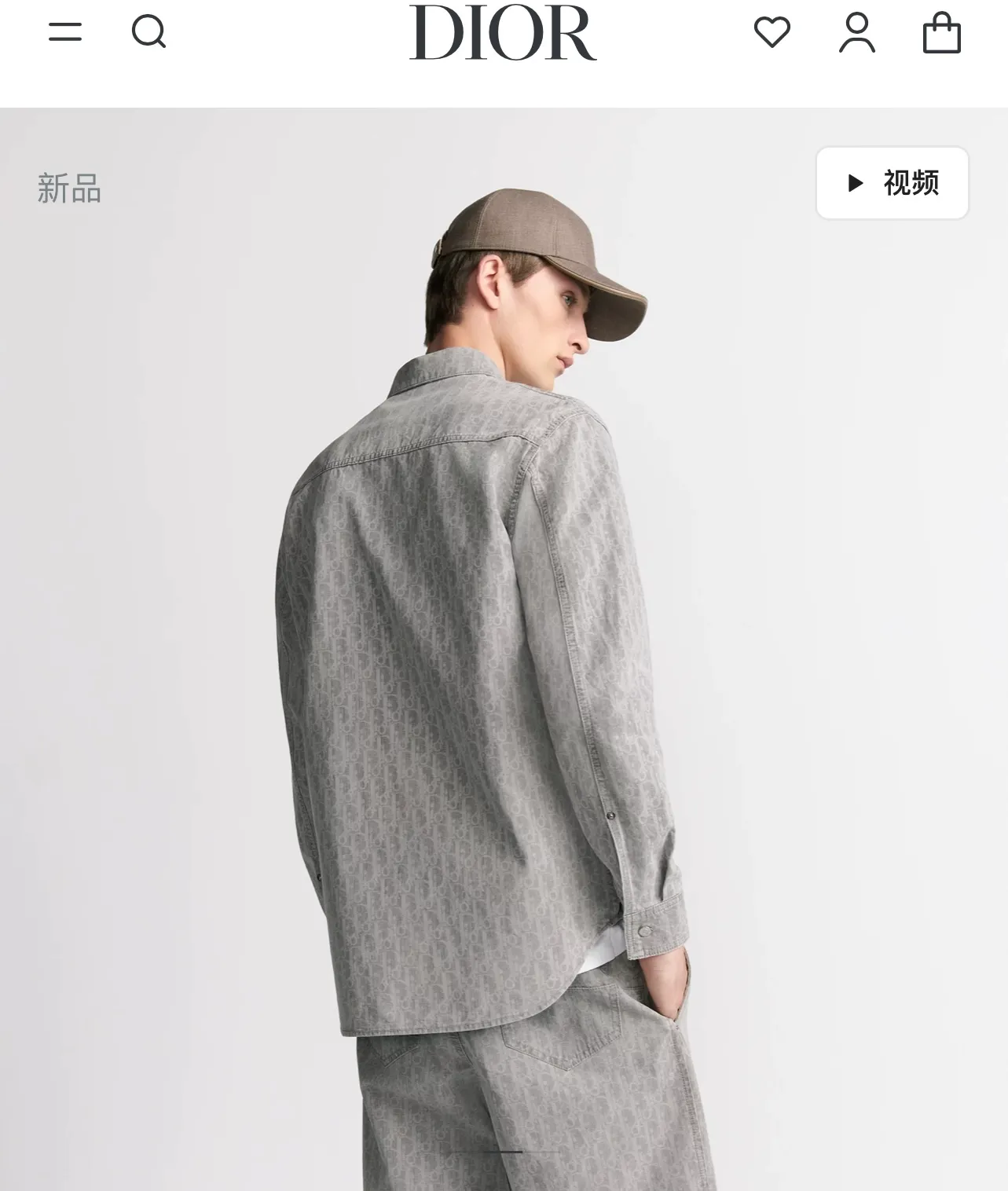 model picture
