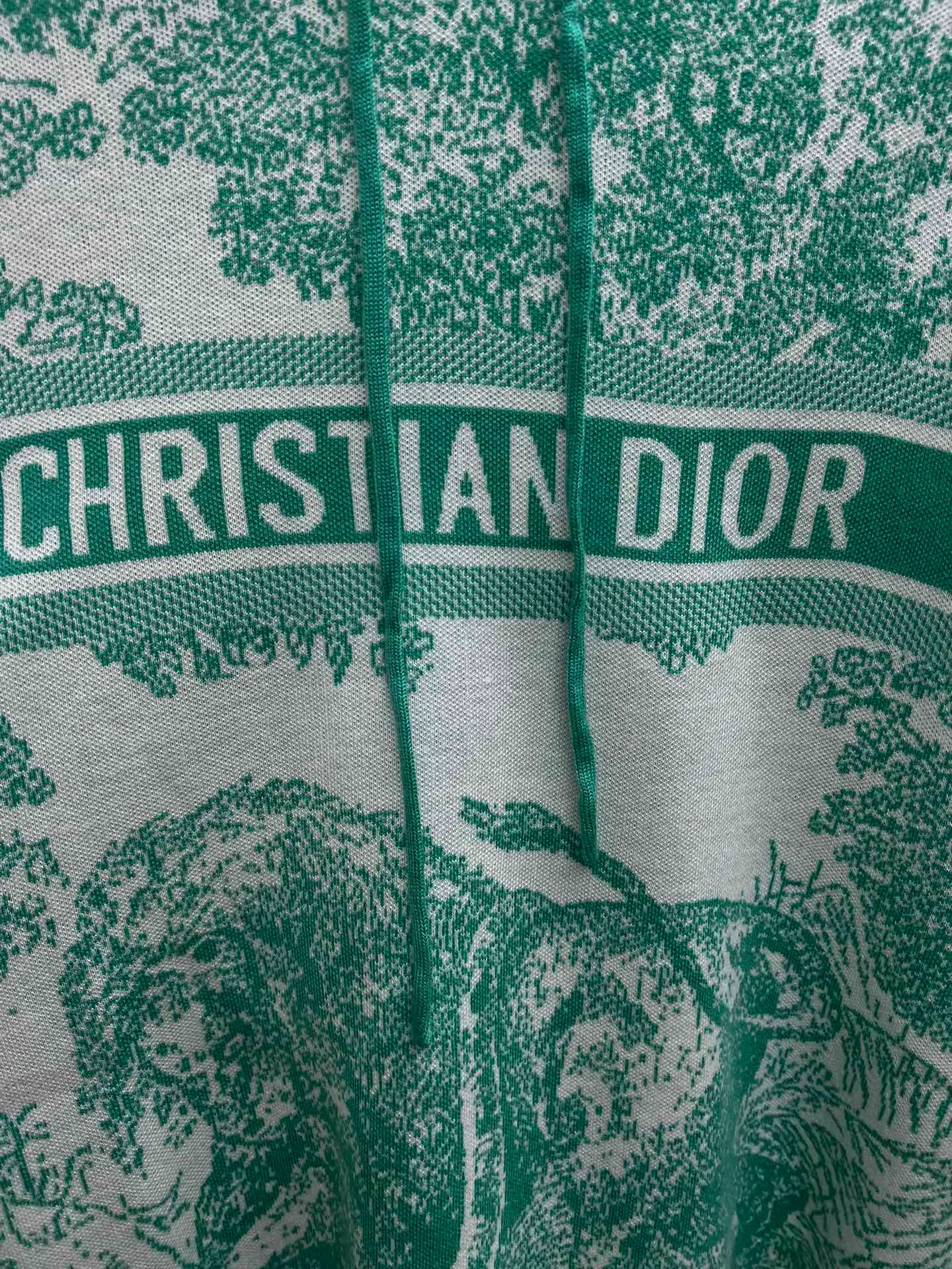🅿️680 complete set of Dior 25ss new letter logo Rui jungle jacquard loose hooded long-sleeved pullover knitted sweatshirt! Size: S.M.L.