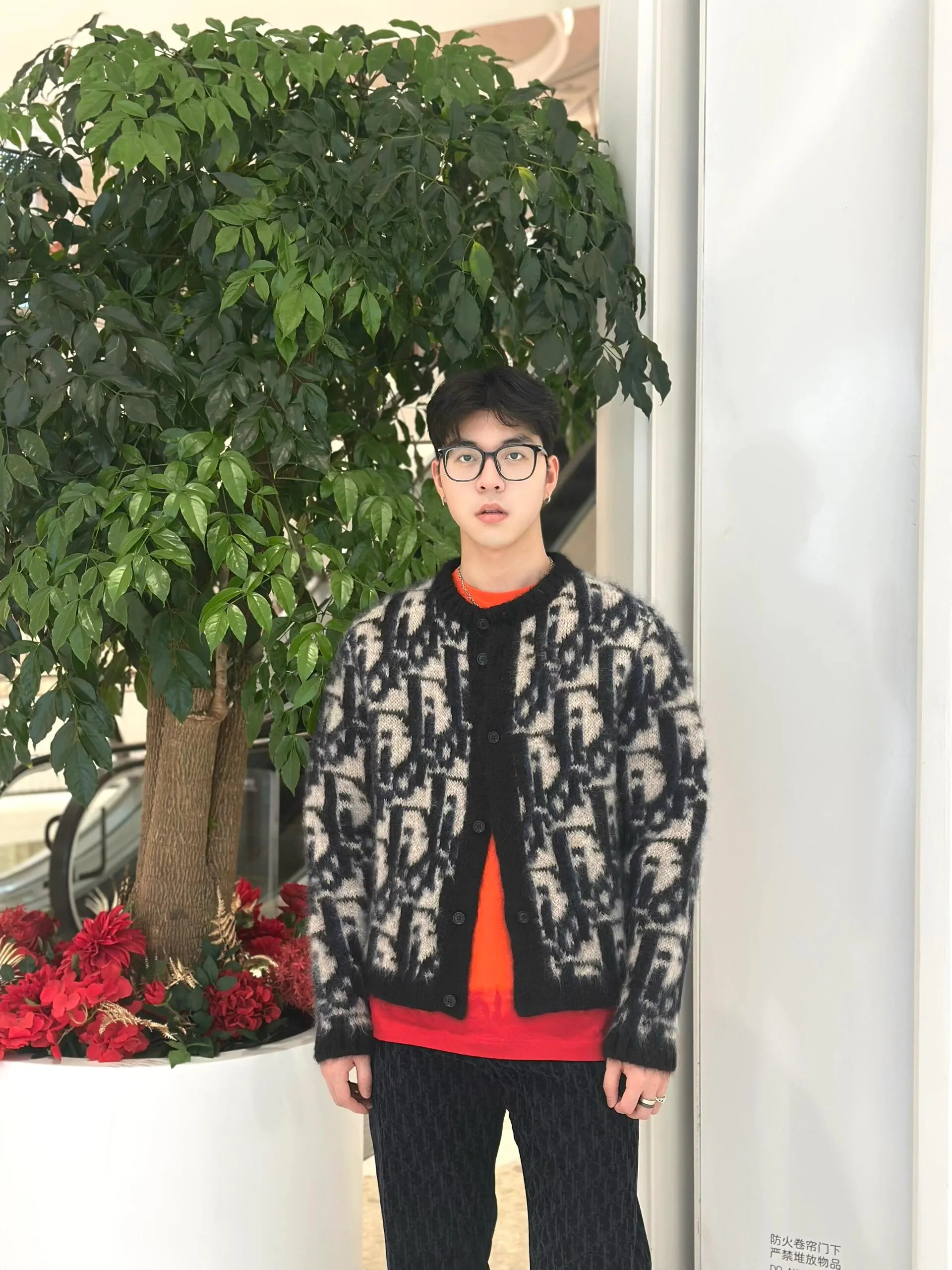 model picture