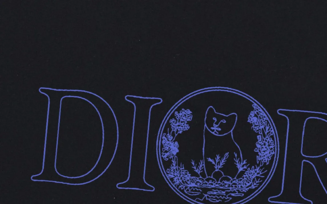 🅿️170 (arrives the next day) DIOR Dior 2025 new line cat letter logo, same style for men and women, short-sleeved T-shirt ·Customized 300g 100% double yarn pure cotton fabric ·Dyeing 32 double-strand threads ·Collar label, hangtag, main mark and three labels complete Color: black Size: XS S M L